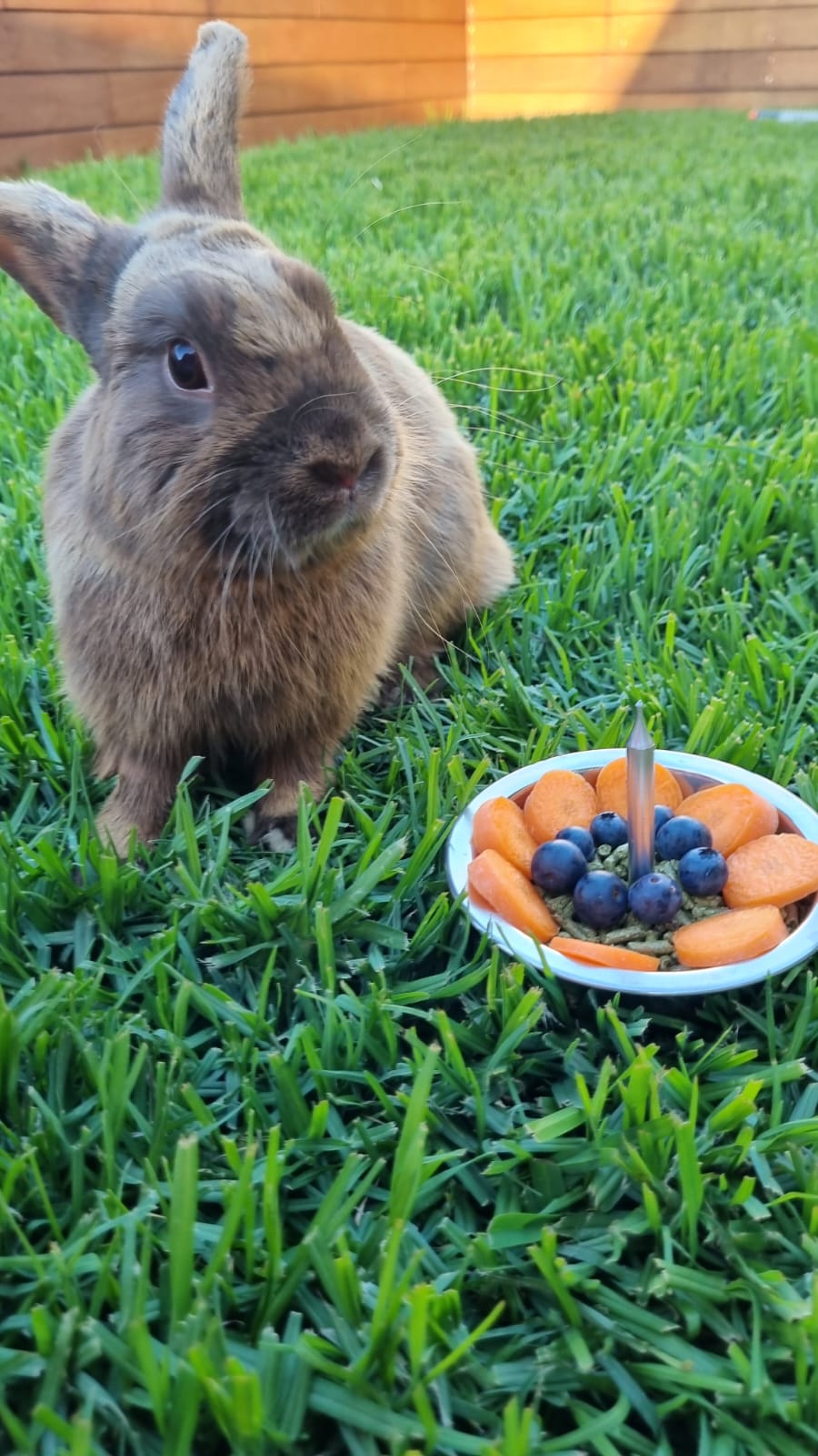 Biancas Bunny Boarding