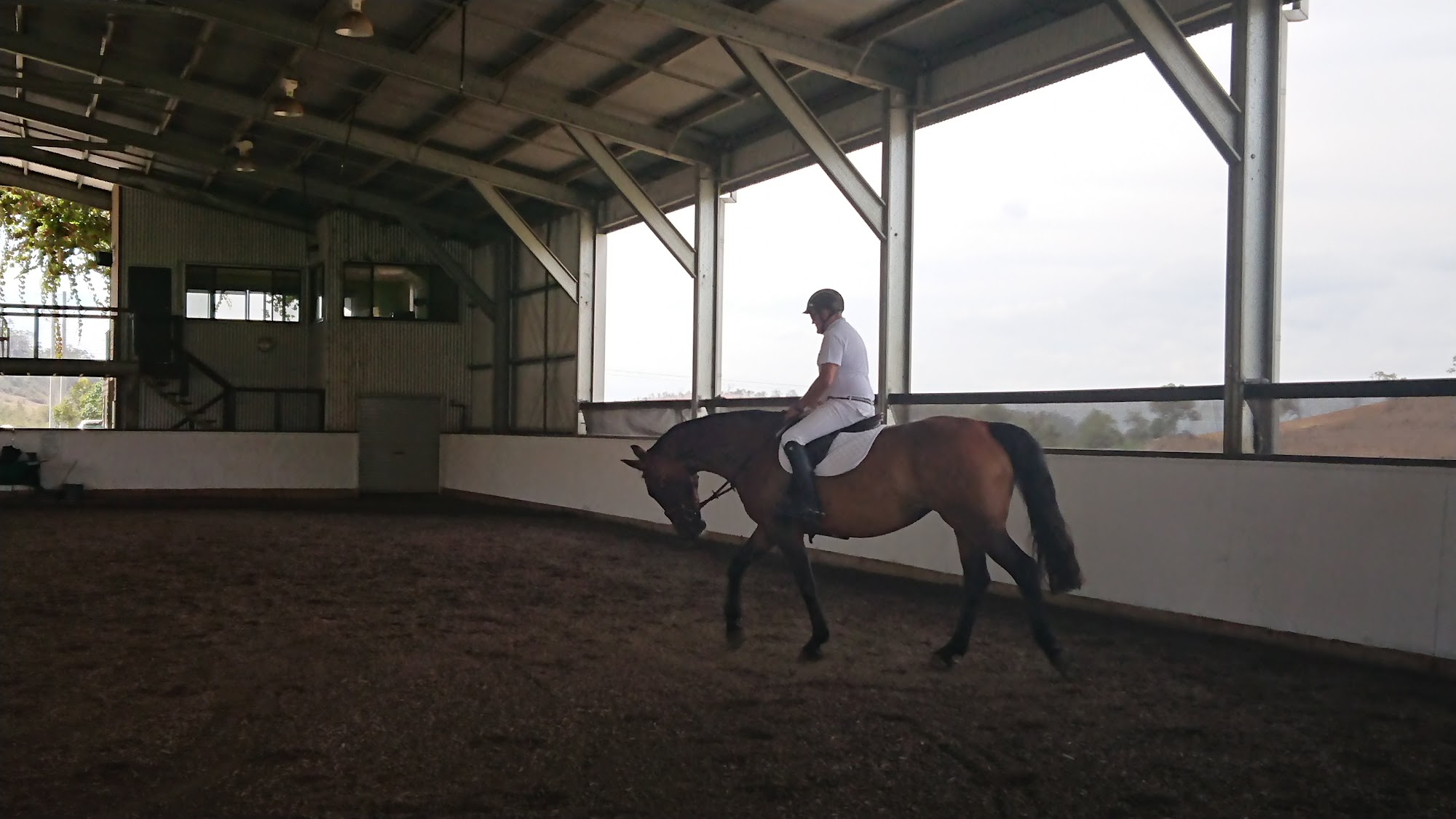 Oaks Sport Horses