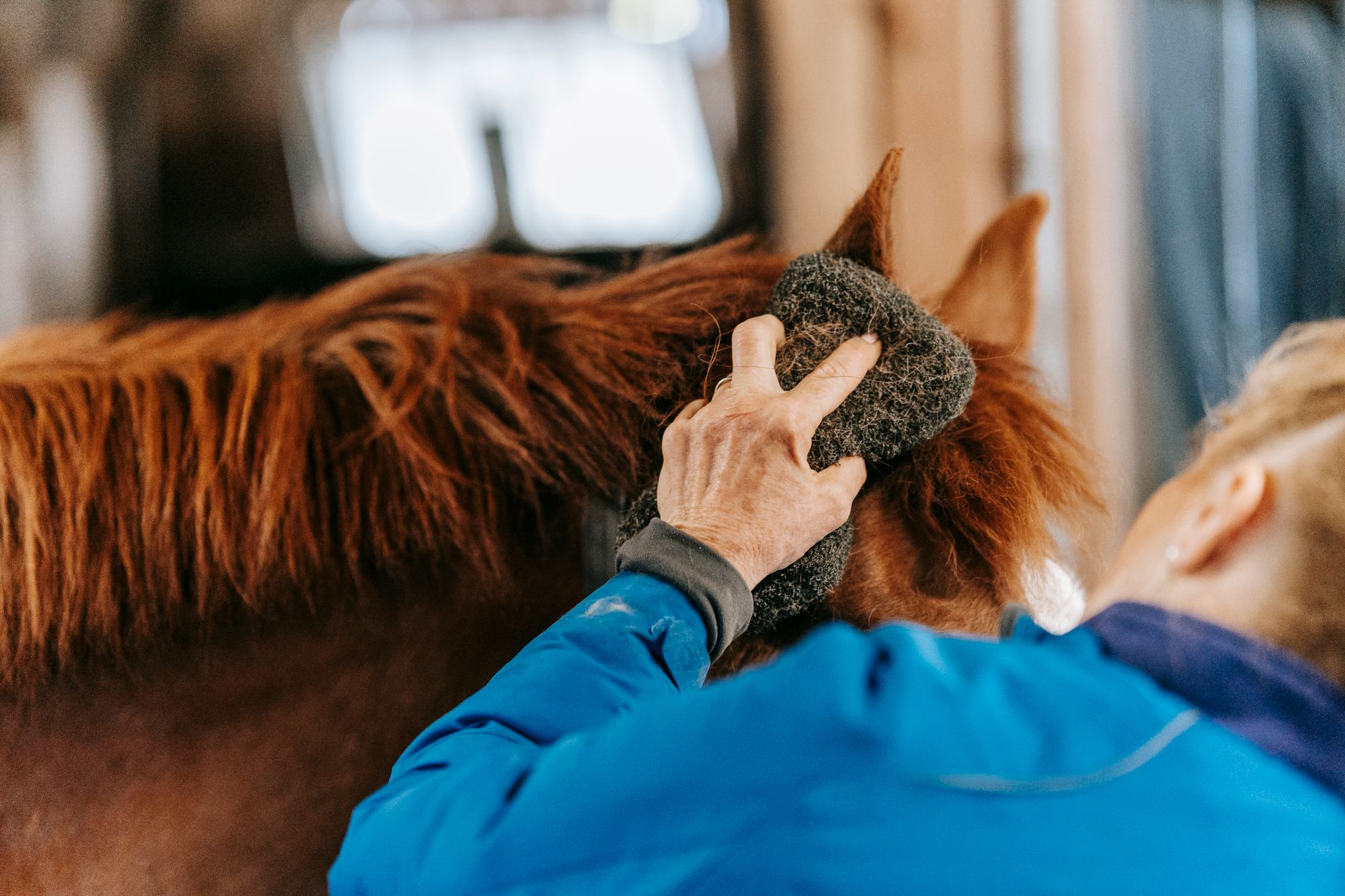 Oaks Sport Horses
