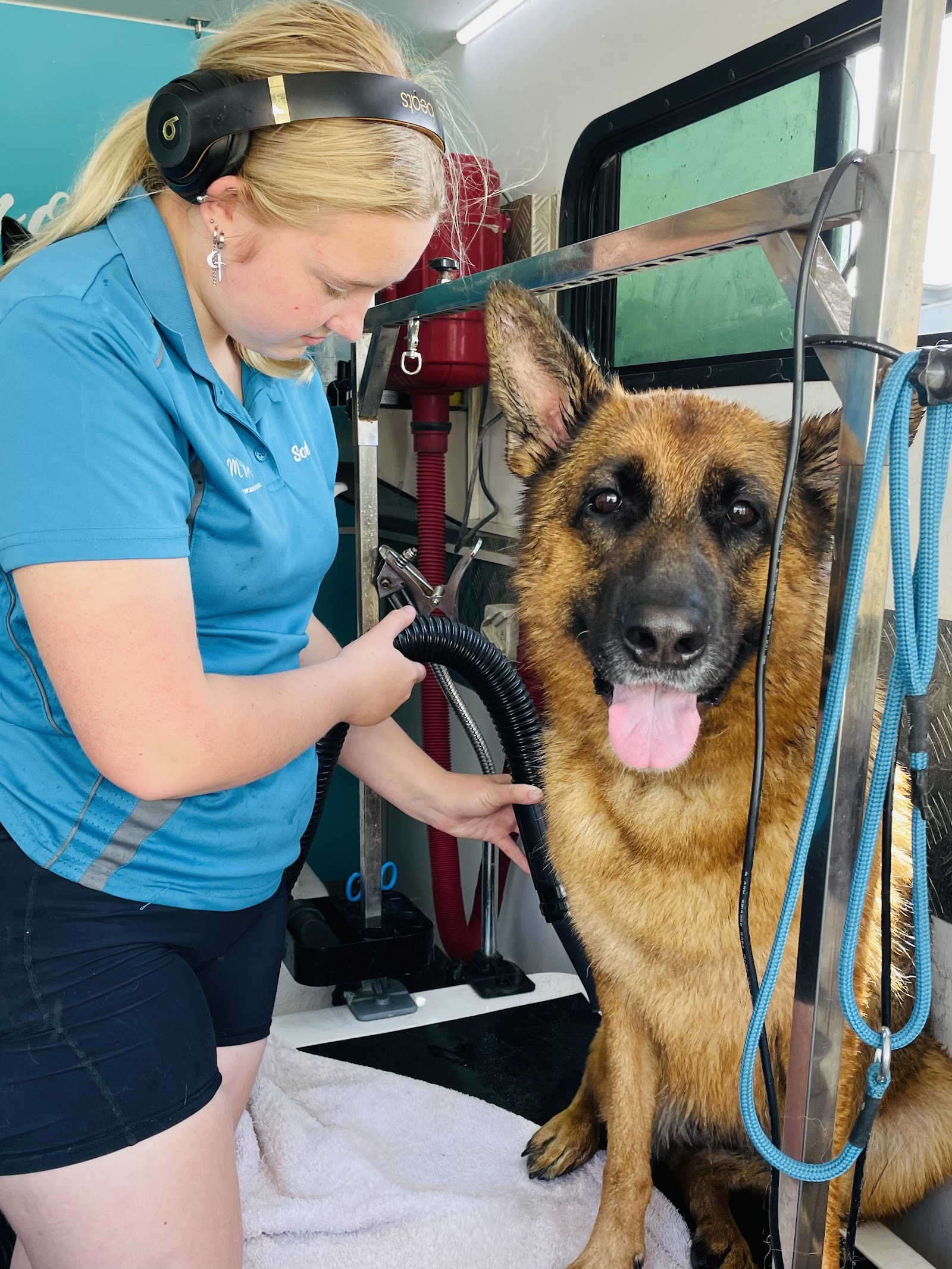 McKinnons Dogwash & Grooming