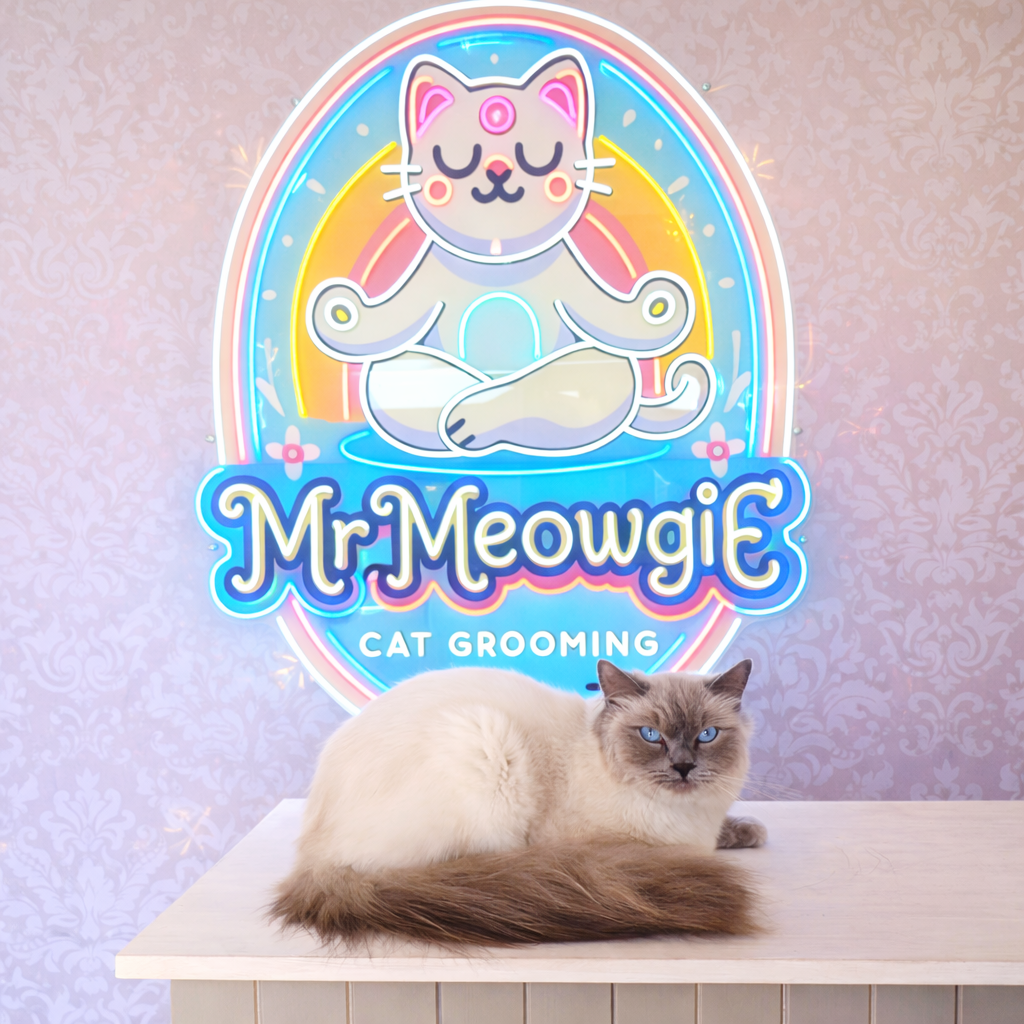 Mr Meowgie Cat Grooming — Pet Groomers