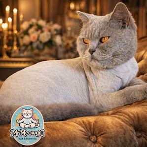 Mr Meowgie Cat Grooming logo