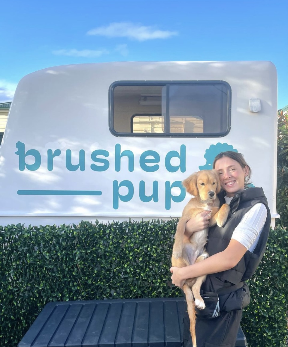 Brushed Pup Grooming