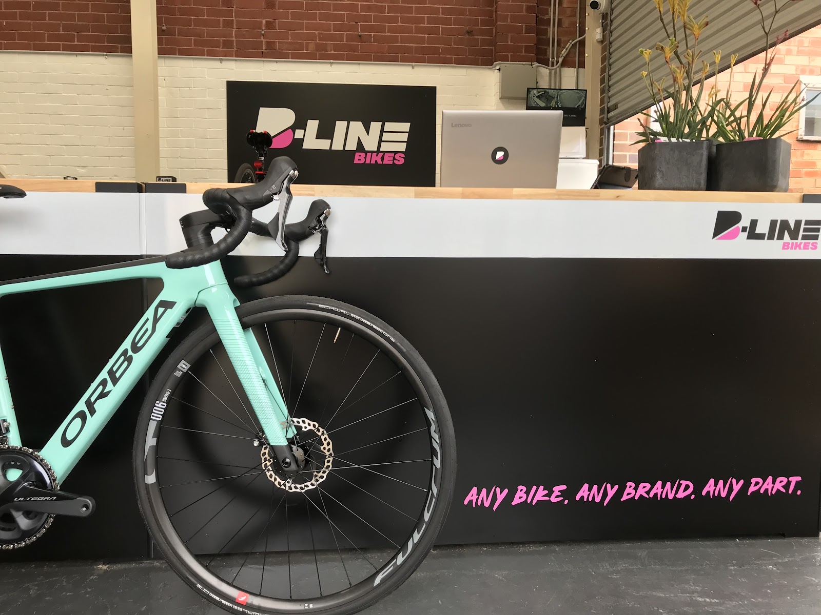 B-Line Bikes