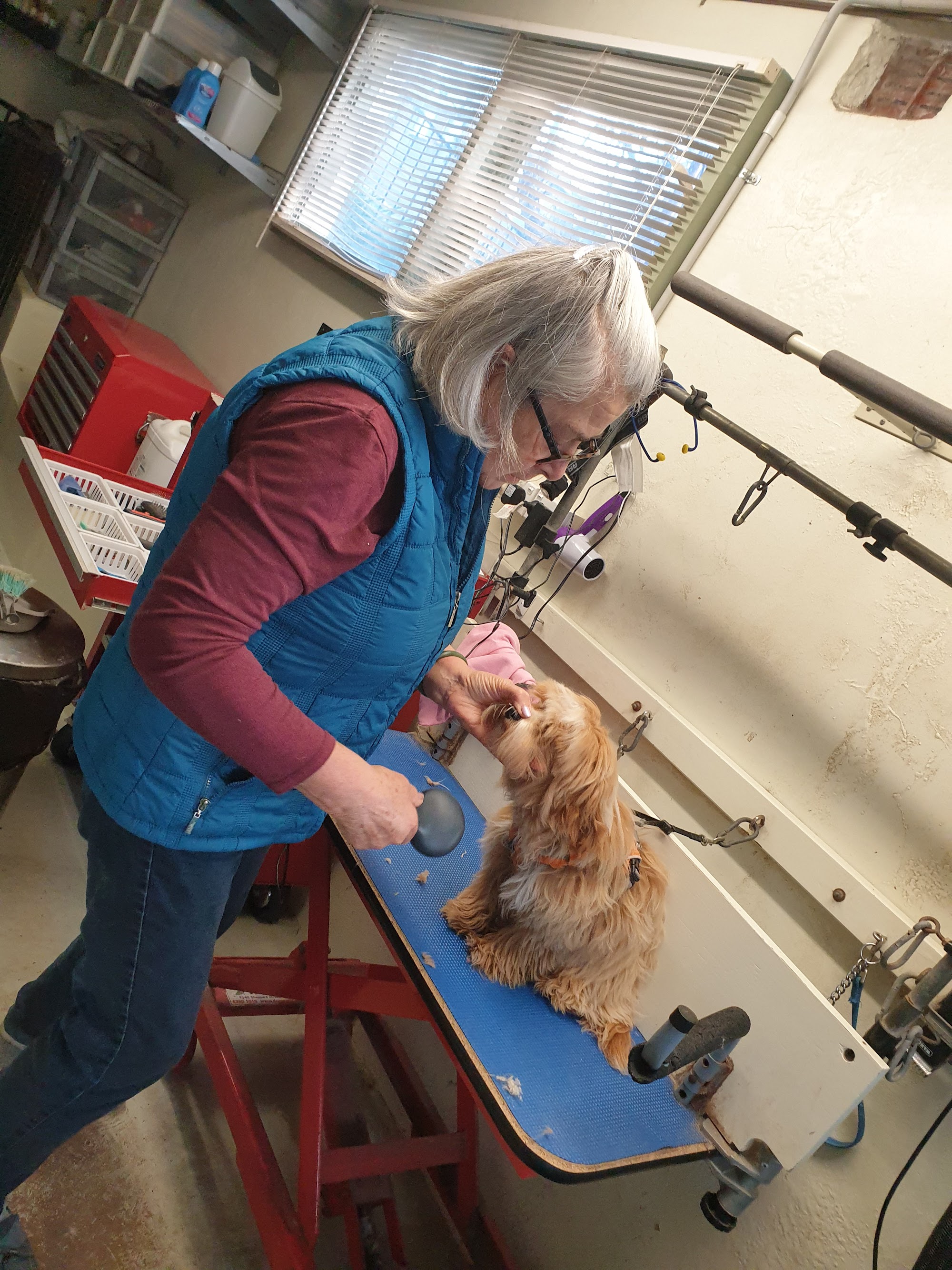 Muttz Kuttz — Pet Groomers