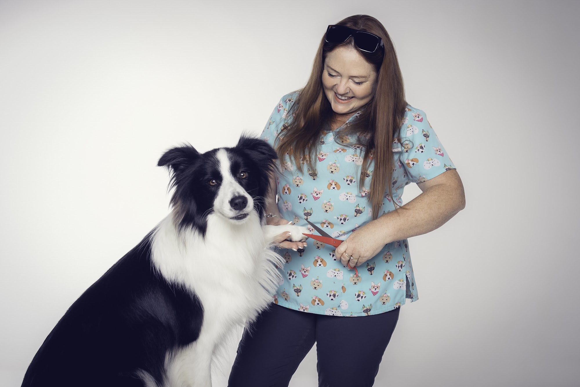 Star Paws Grooming Salon