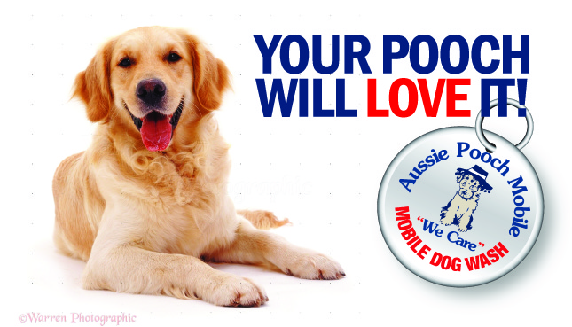 Aussie Pooch Mobile Dog Wash Helensburgh