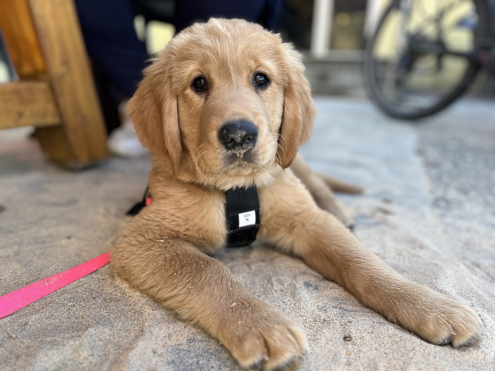 Berry Veterinary Clinic