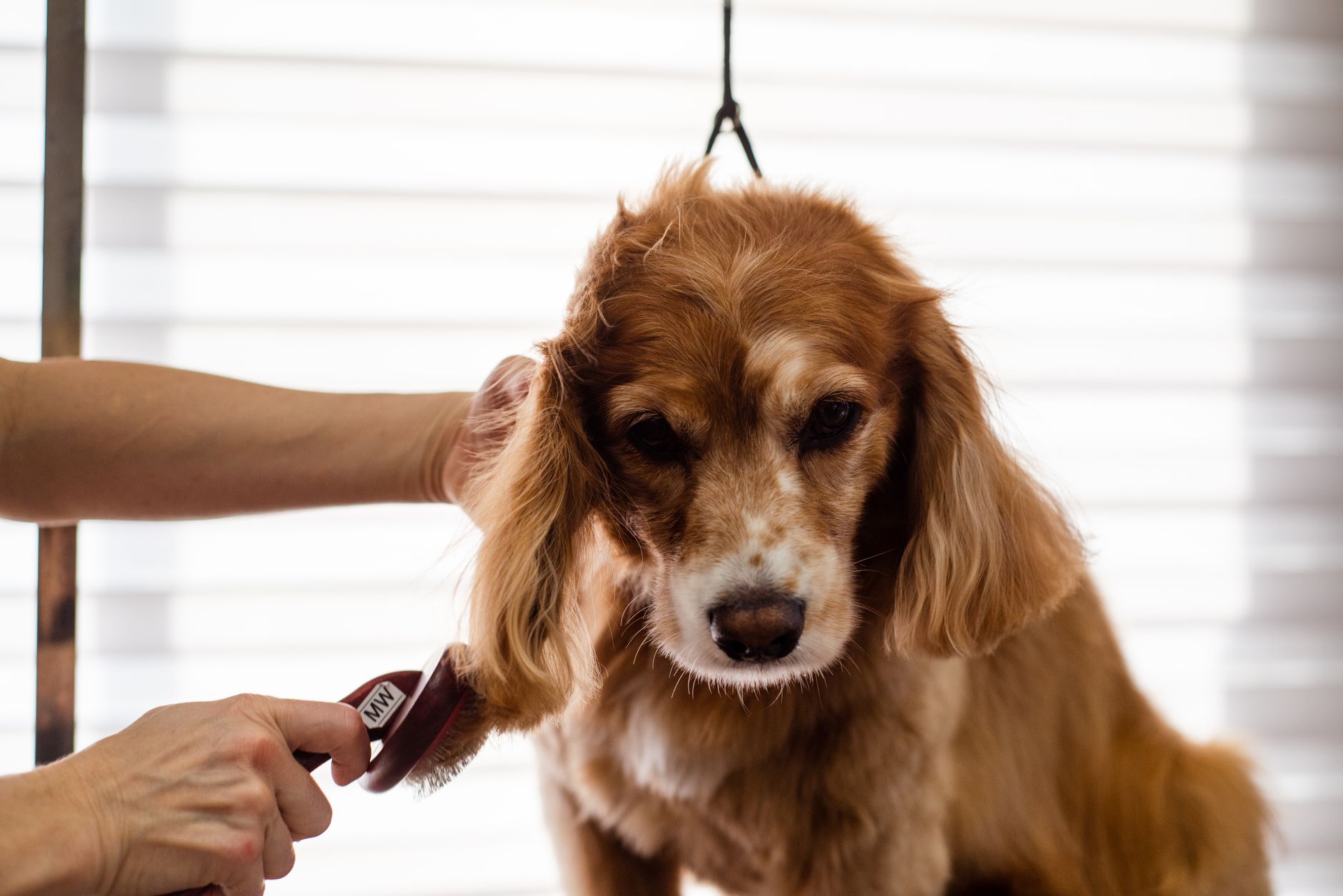 Berry Veterinary Clinic