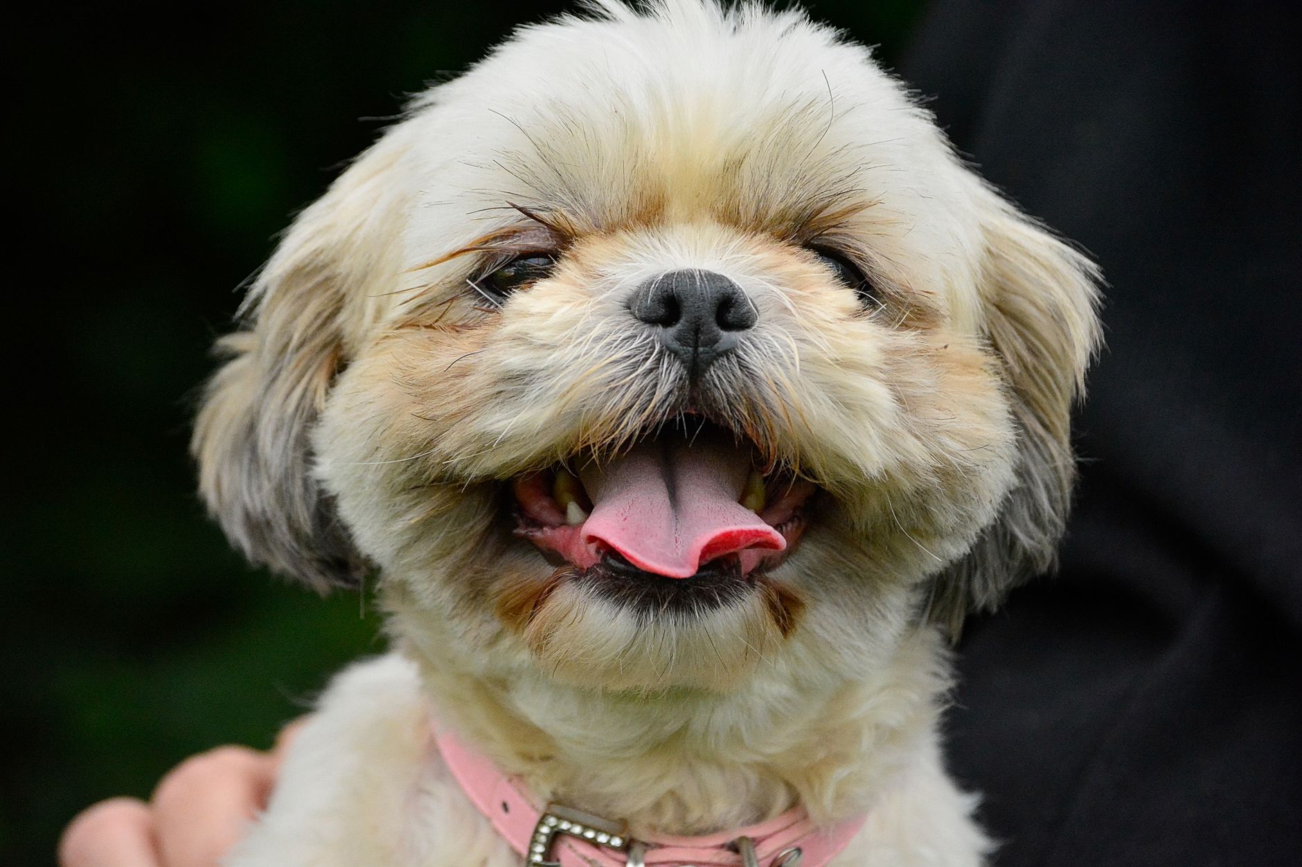 Berry Veterinary Clinic