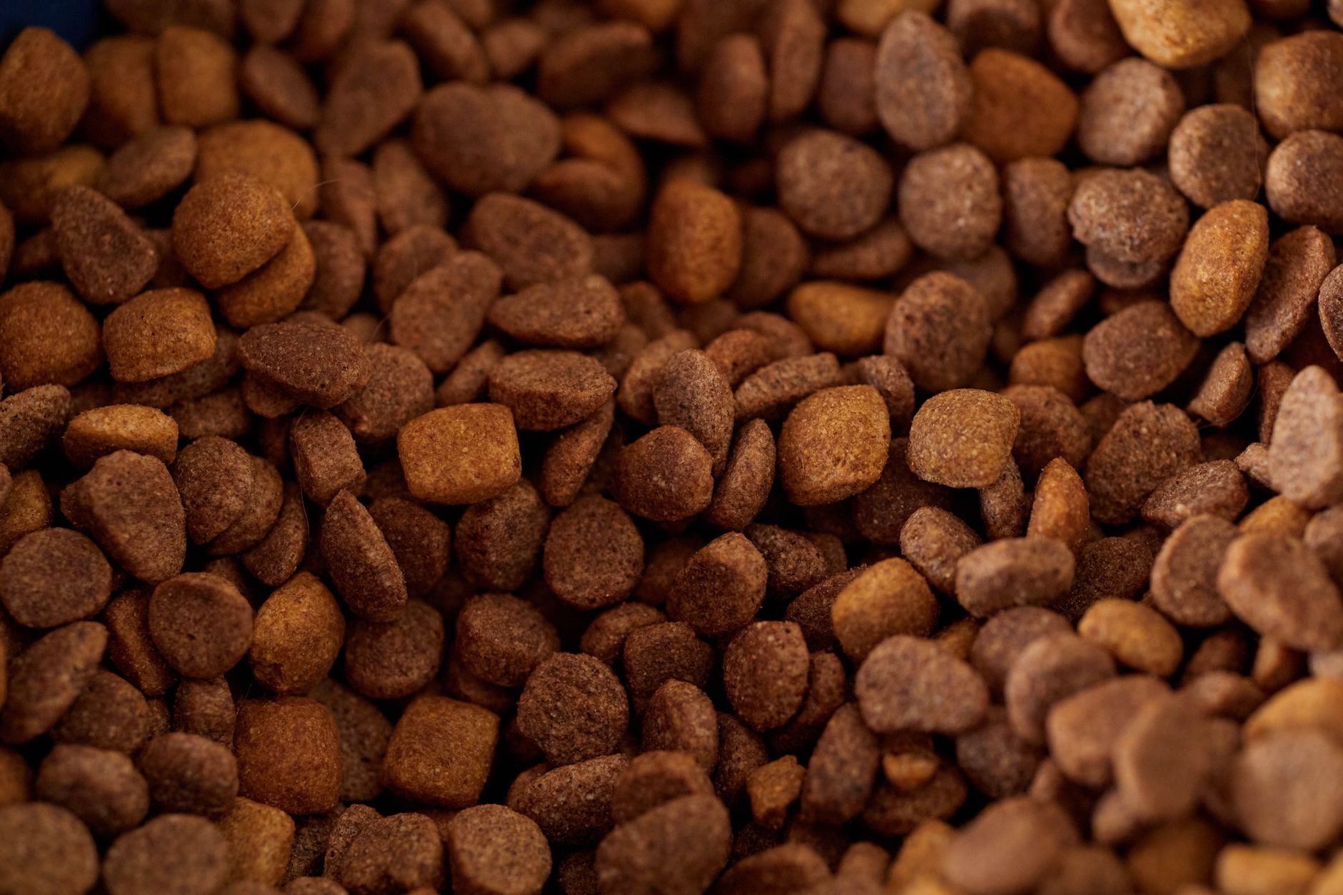 Alternate Pet Food