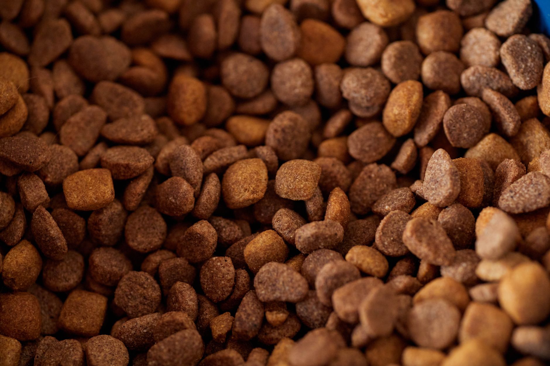 Alternate Pet Food