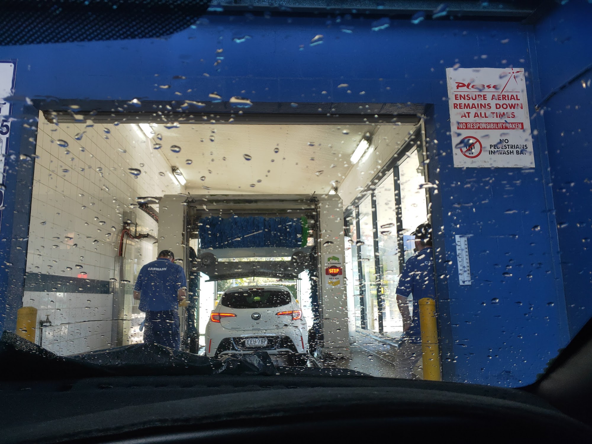 My Car Wash Bomaderry — Pet Groomers