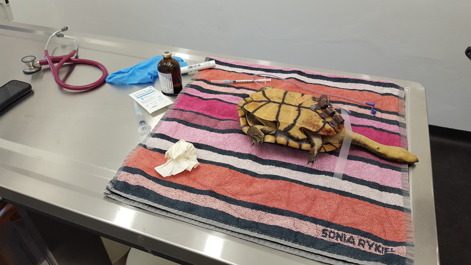 Bundanoon Veterinary Hospital