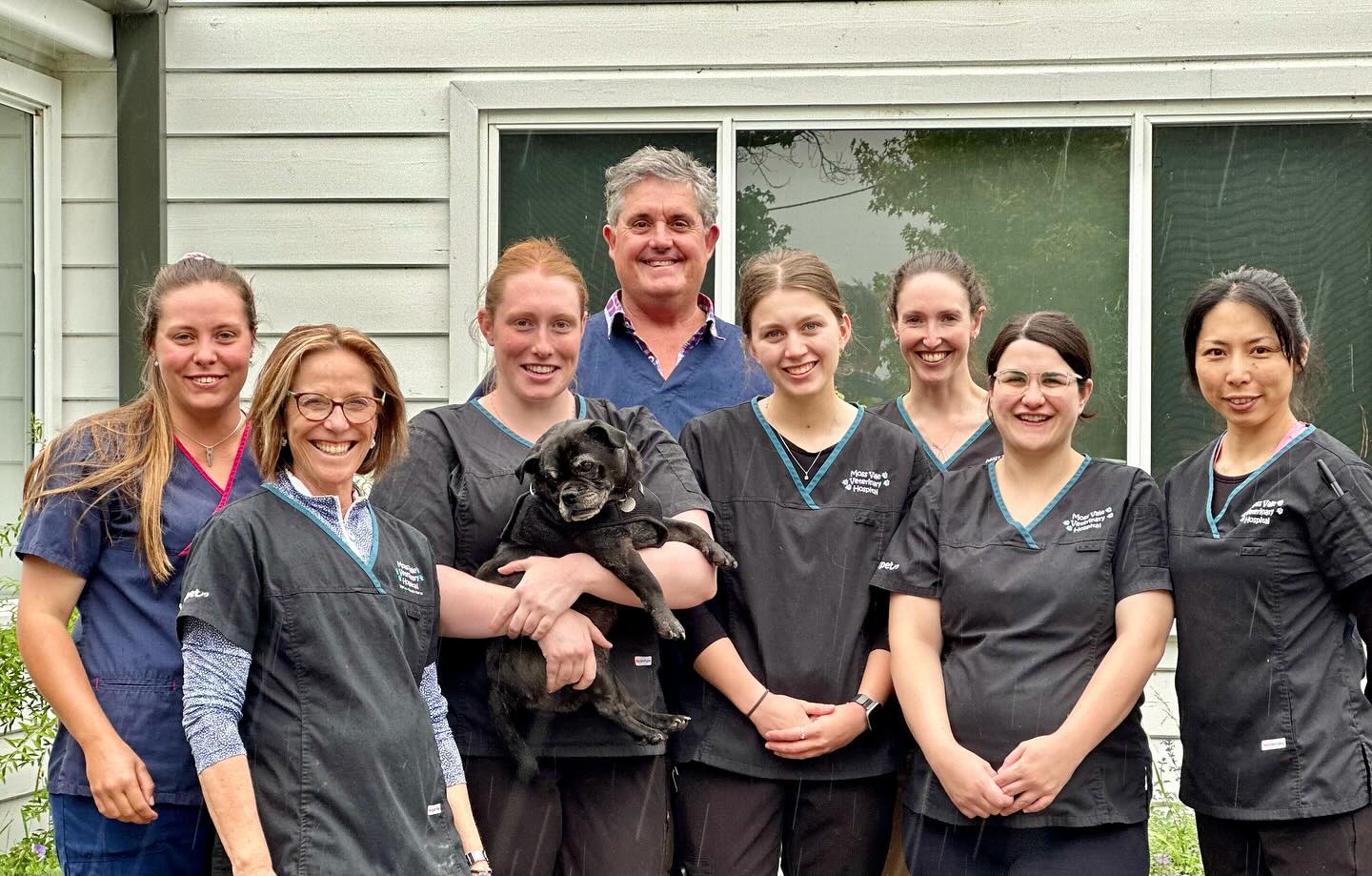 Moss Vale Veterinary Hospital — Pet Groomers