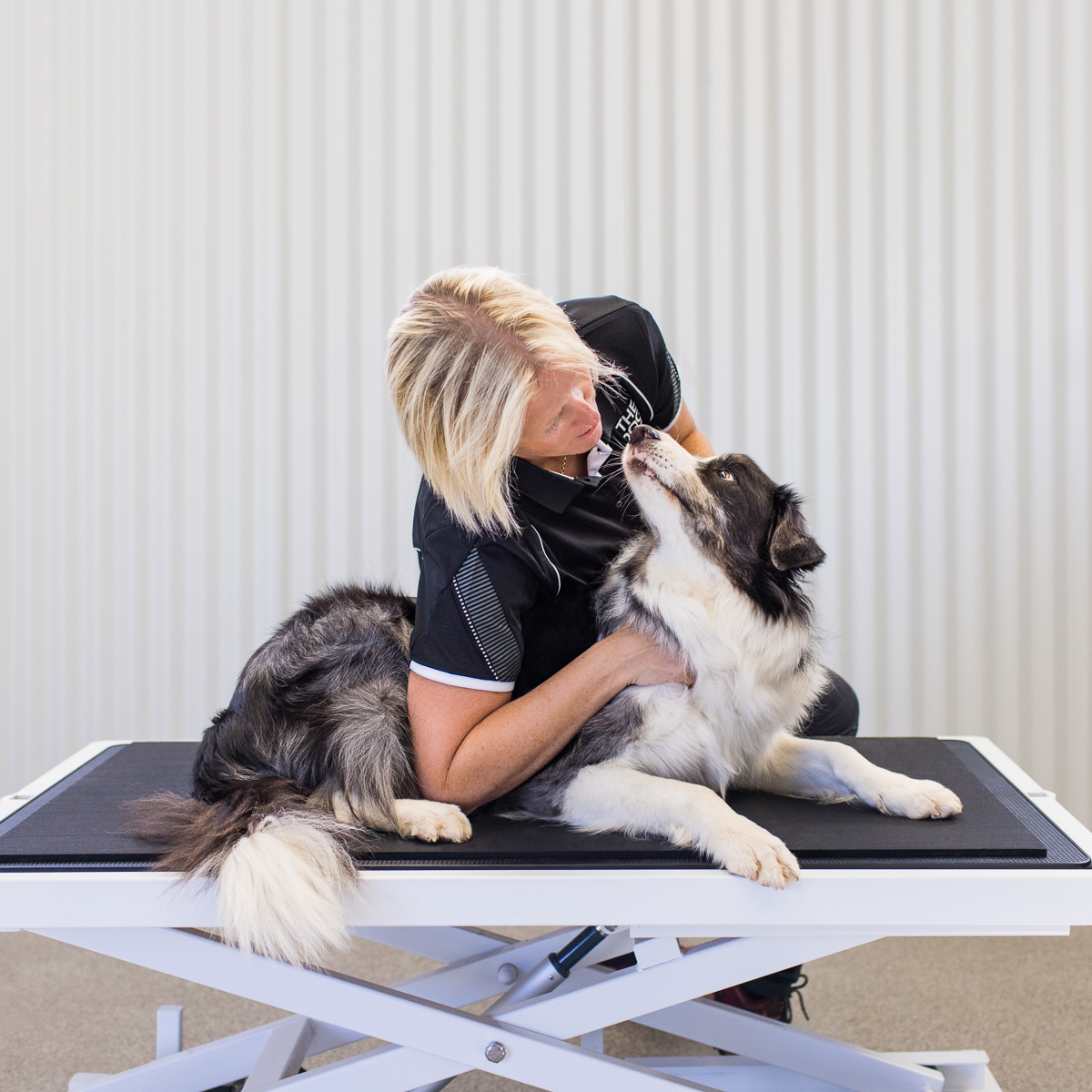 The Dog Osteo — Pet Groomers
