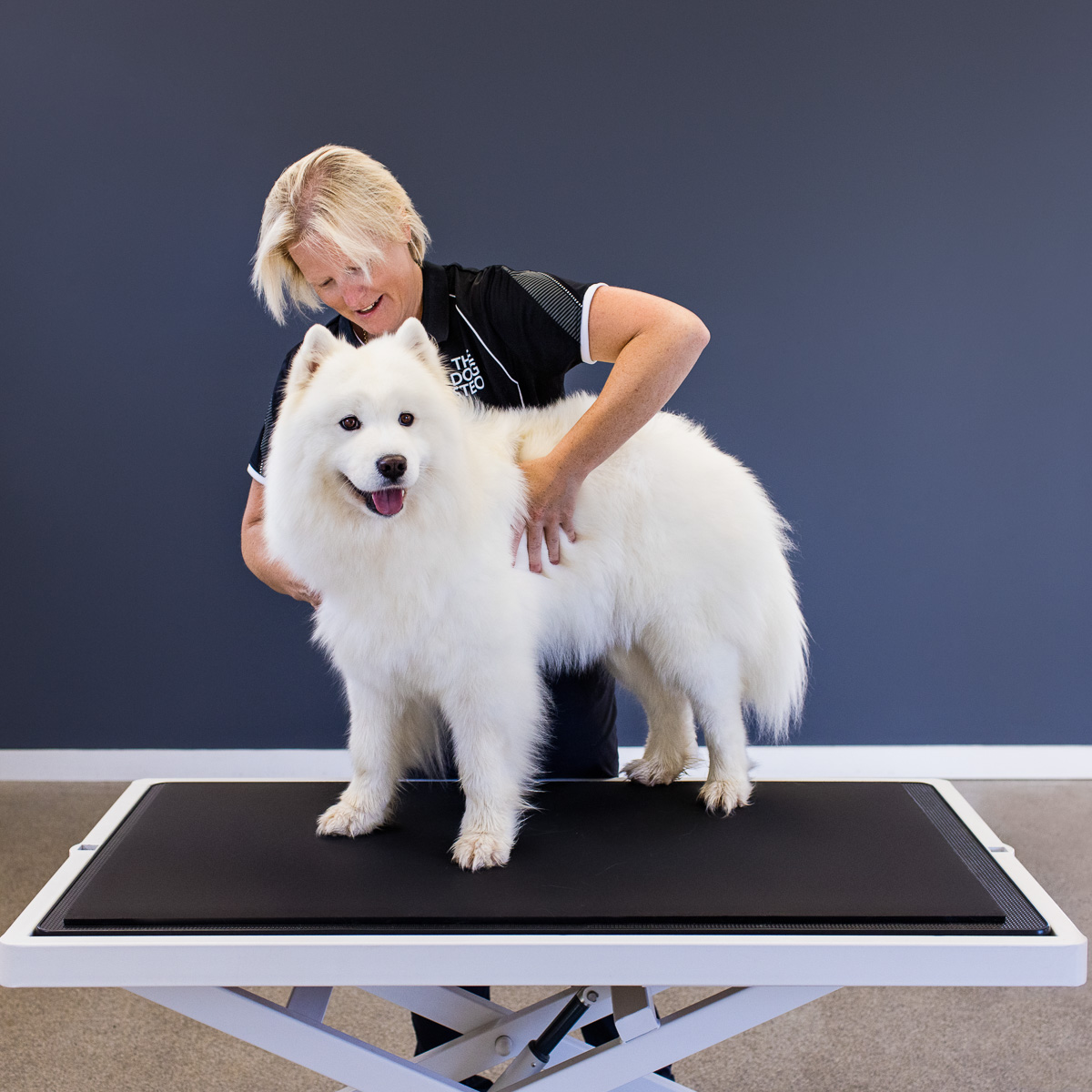 The Dog Osteo
