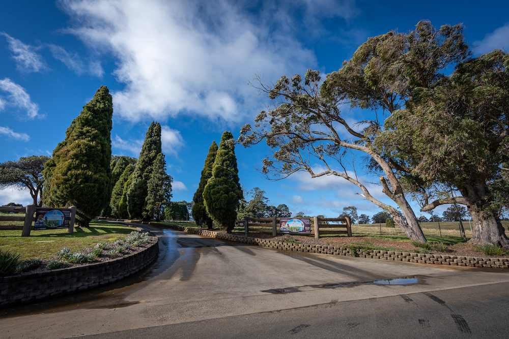 Pet Resorts Australia Southern Highlands — Pet Groomers