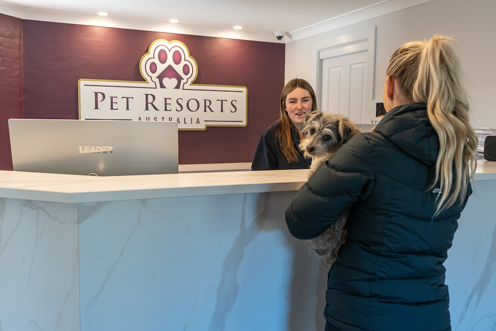 Pet Resorts Australia Southern Highlands