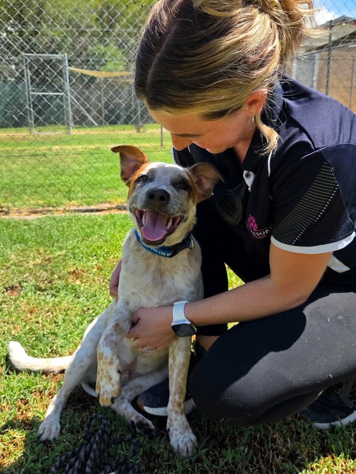Pet Resorts Australia Southern Highlands