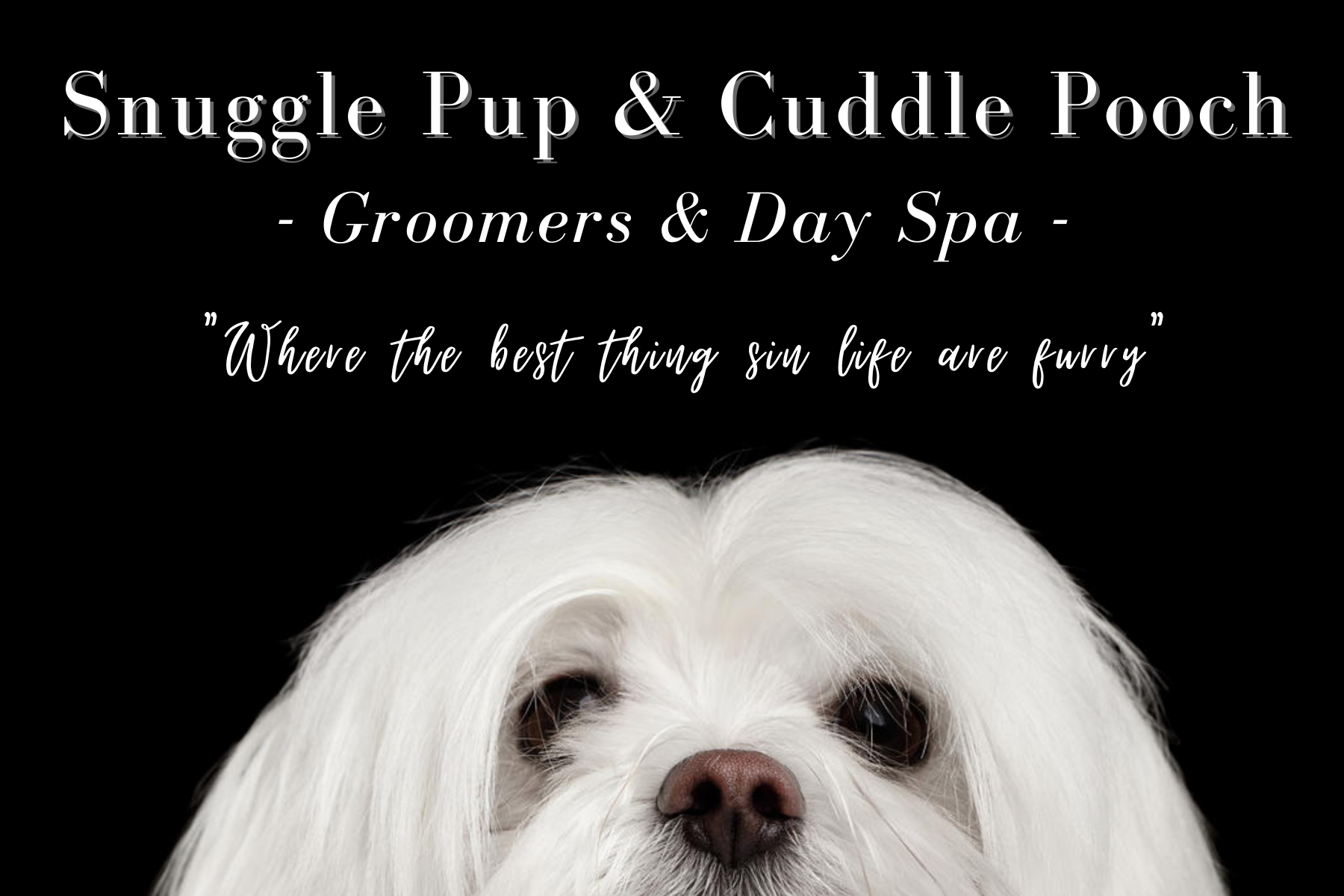 Snuggle Pup & Cuddle Pooch logo