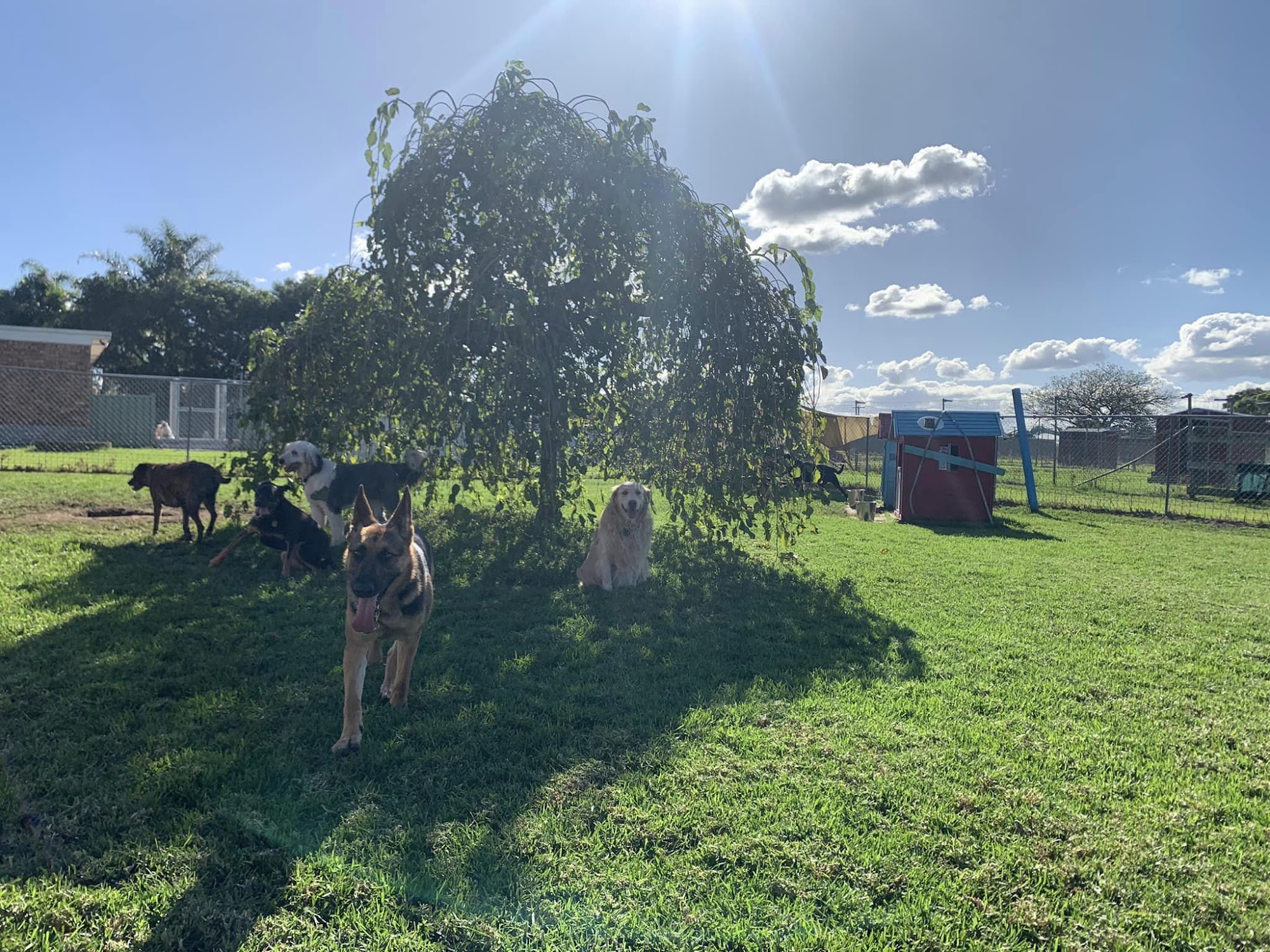 The Pet Ranch