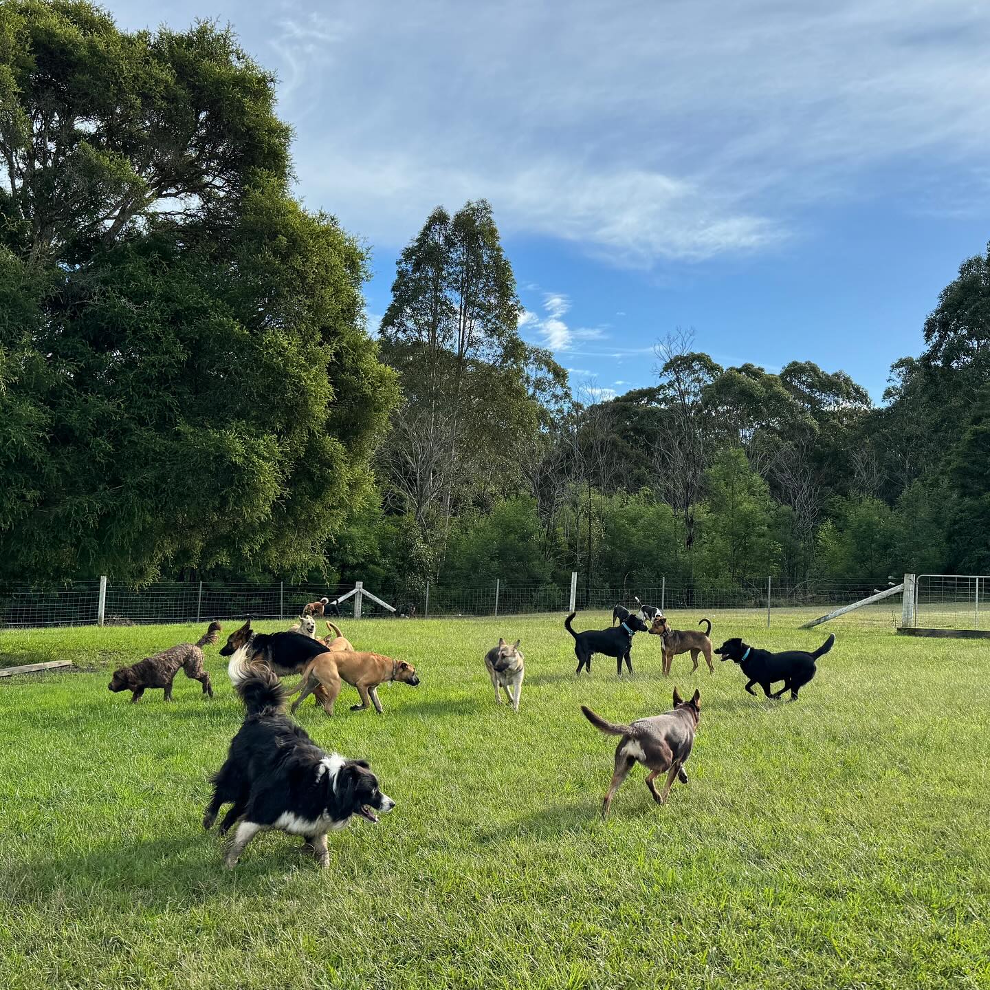Paradise Pet Parks — Pet Groomers