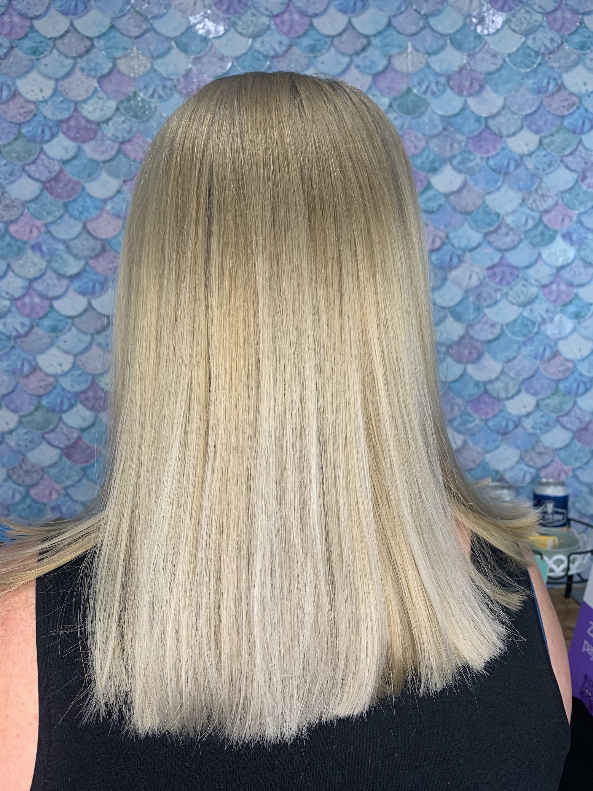 The Curly Mermaid Salon by Lan — Pet Groomers