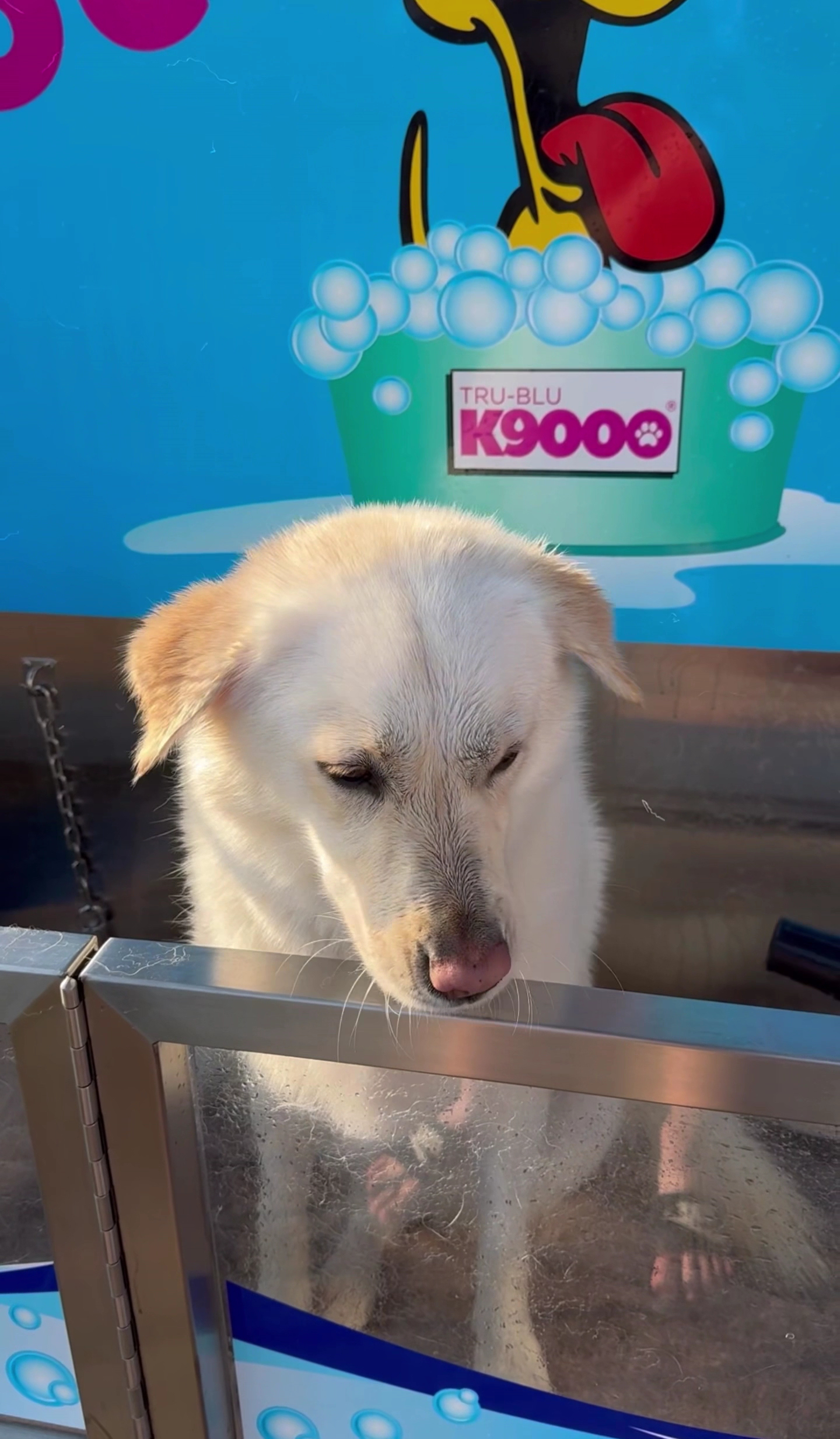 Batemans Bay Car & Dog Wash