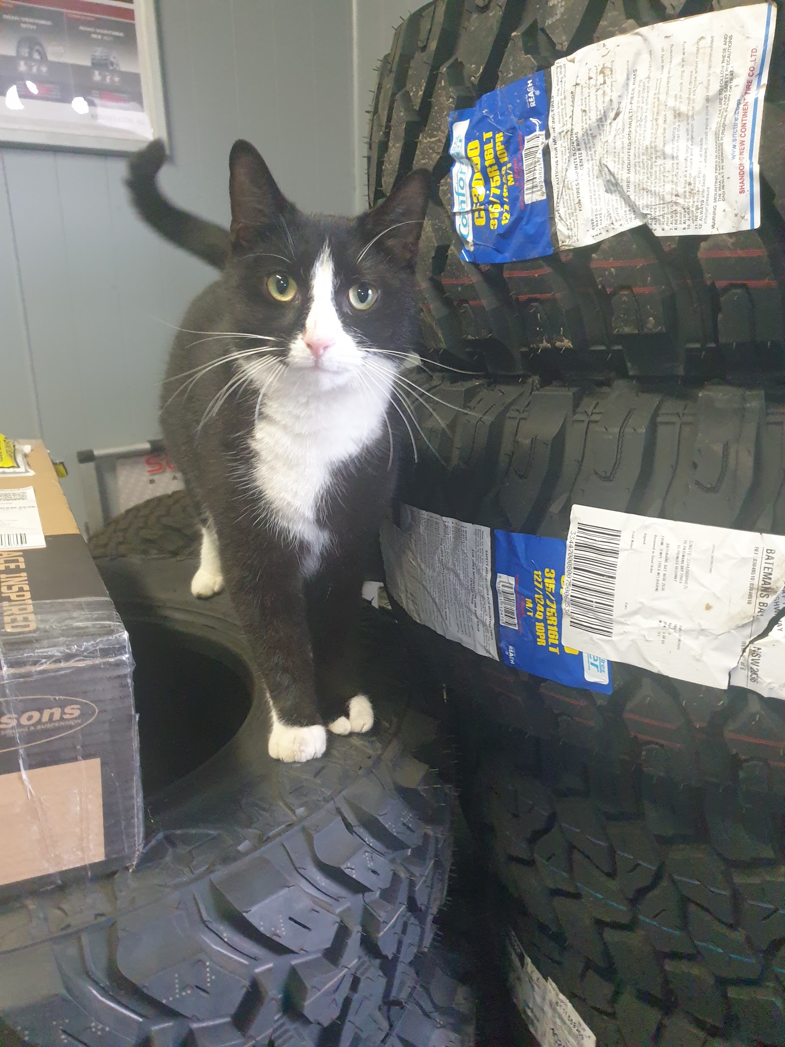 Batemans Bay Tyres & Autos