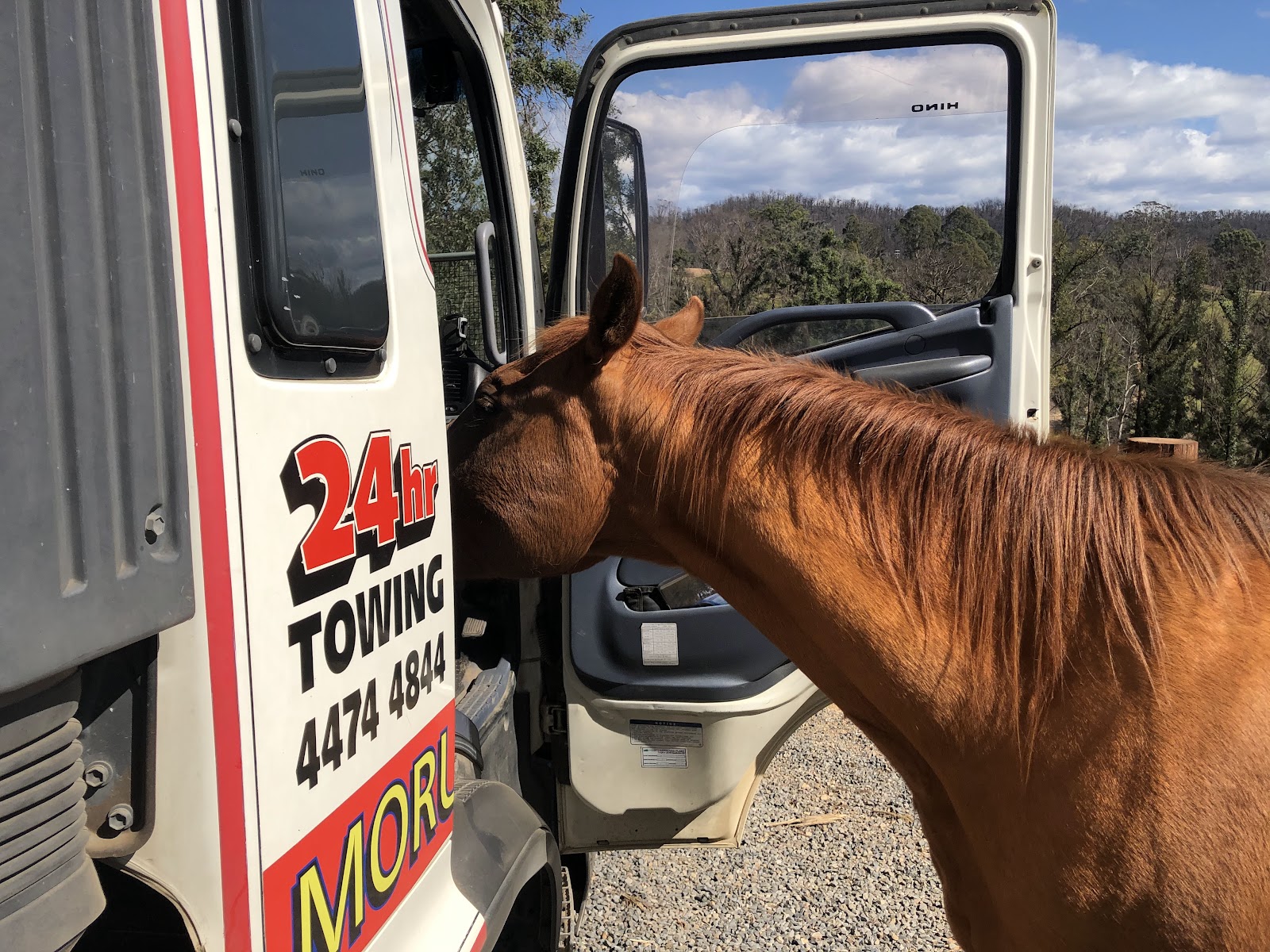 Moruya Tilt & Tow