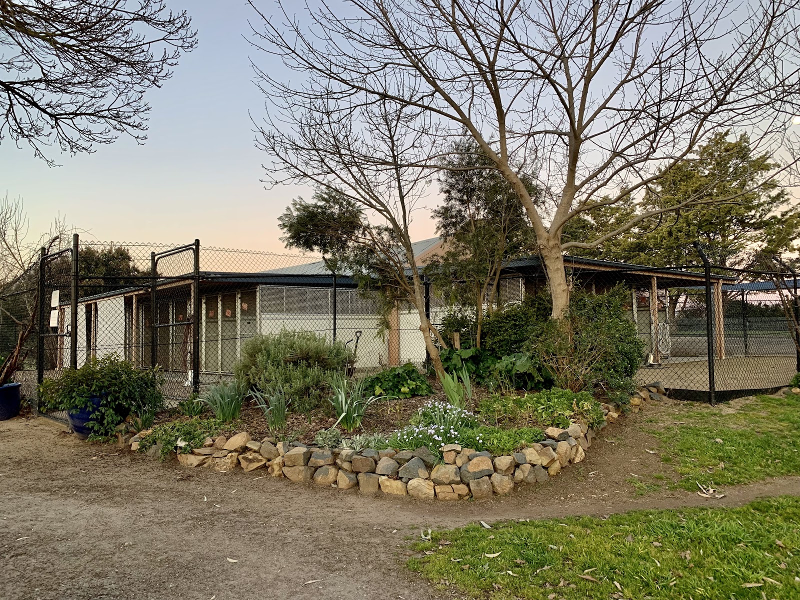 Yass Kennels and Cattery — Pet Groomers