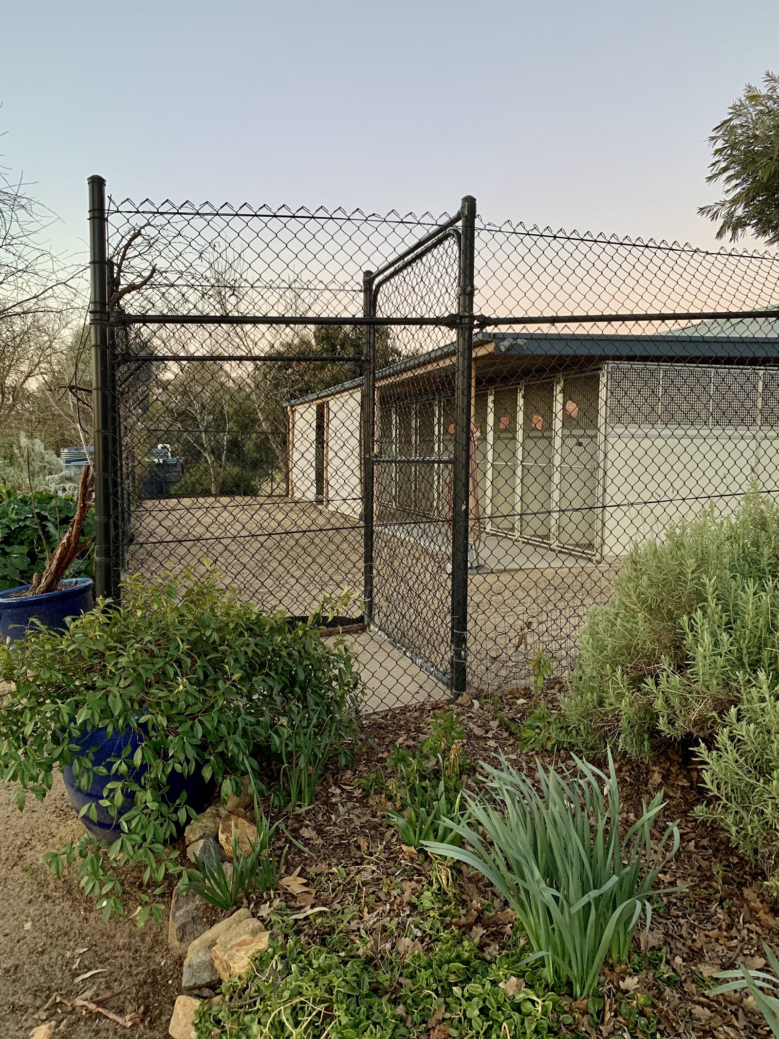 Yass Kennels and Cattery