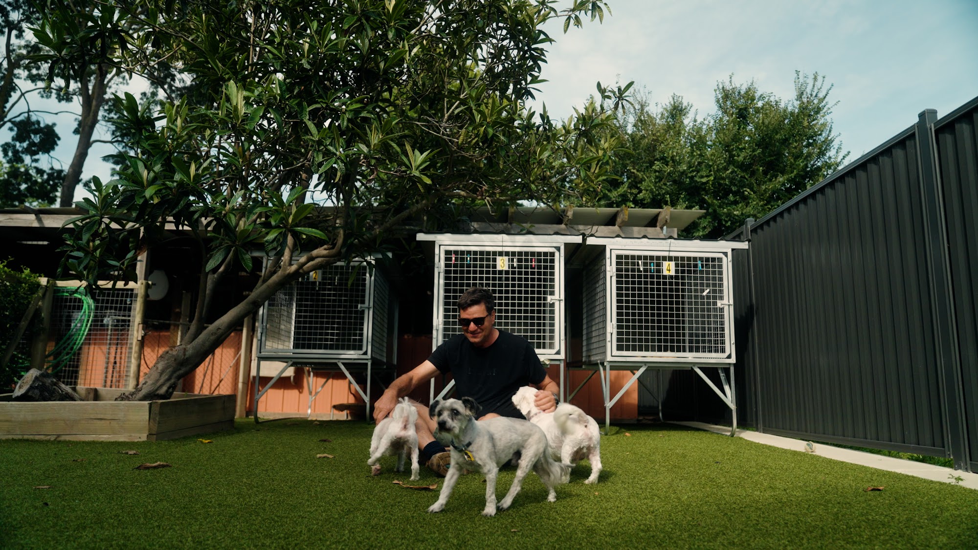 Four Paws Resort Pialligo