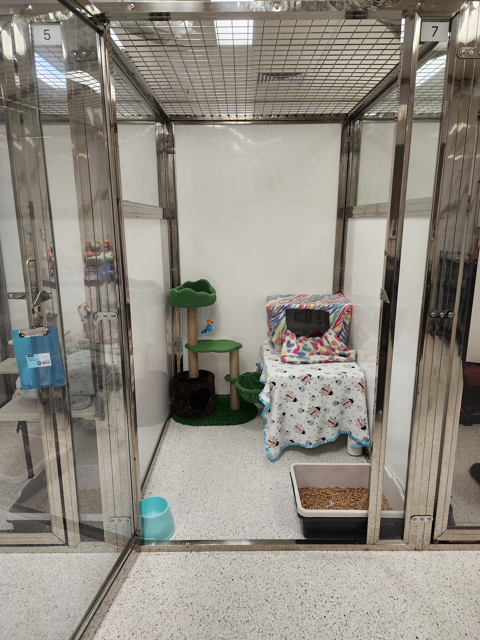 Ava & Archer Cat Grooming & Boarding Cattery