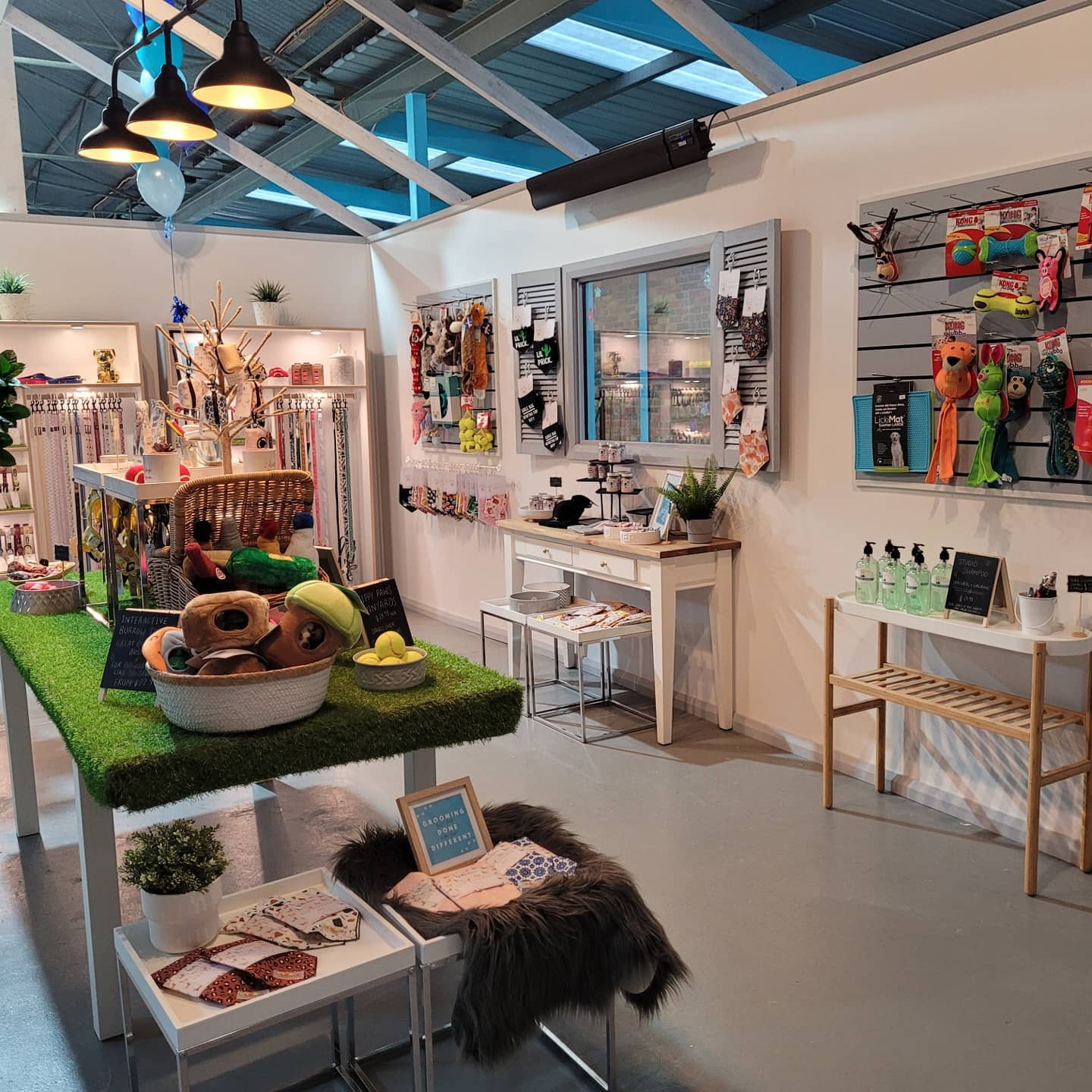 The Dawg Studio