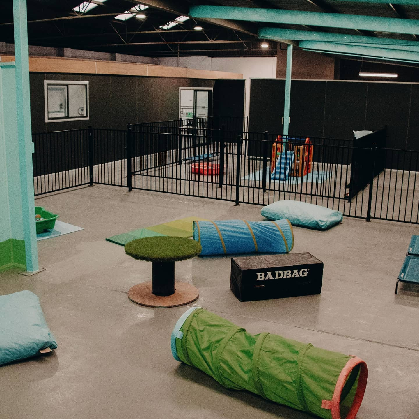 The Dawg Studio