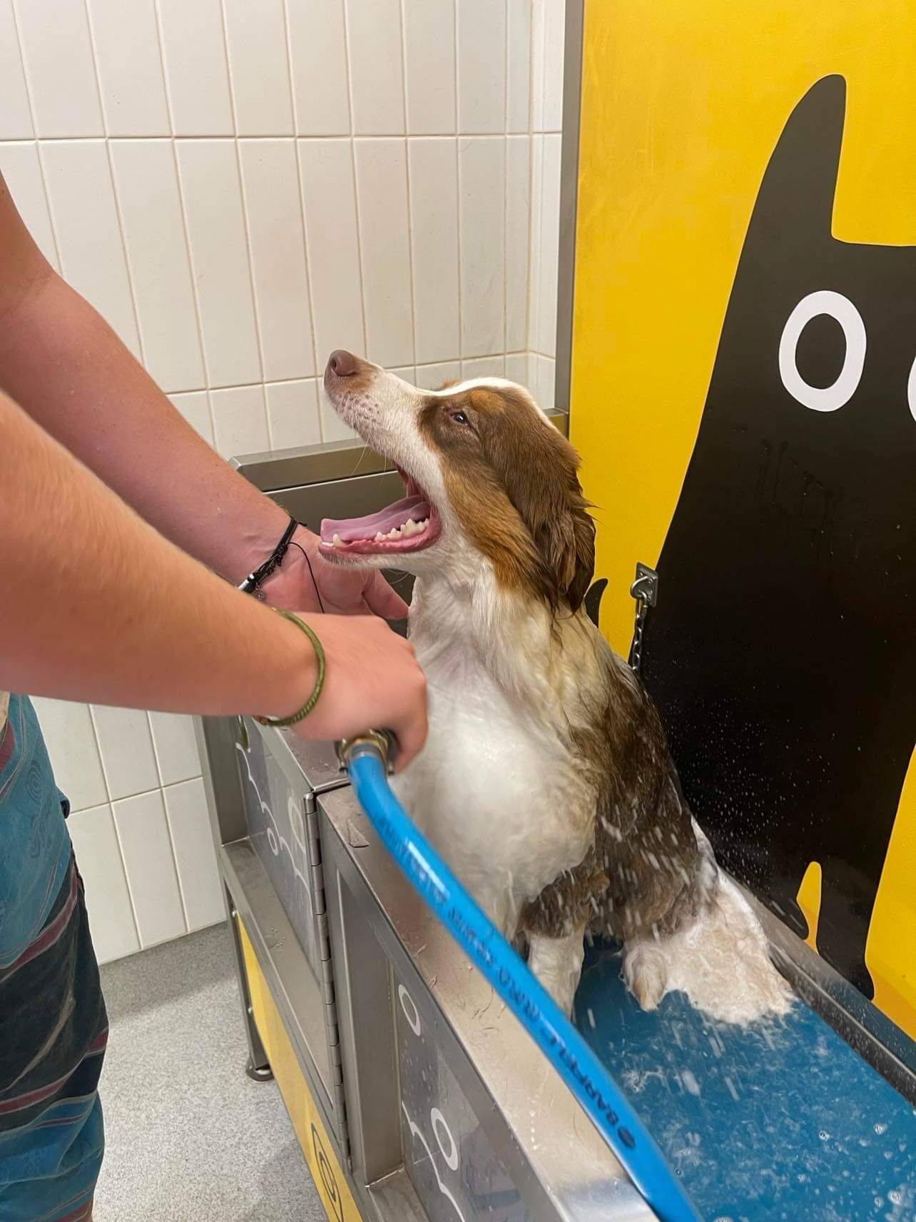 Petbarn Gungahlin