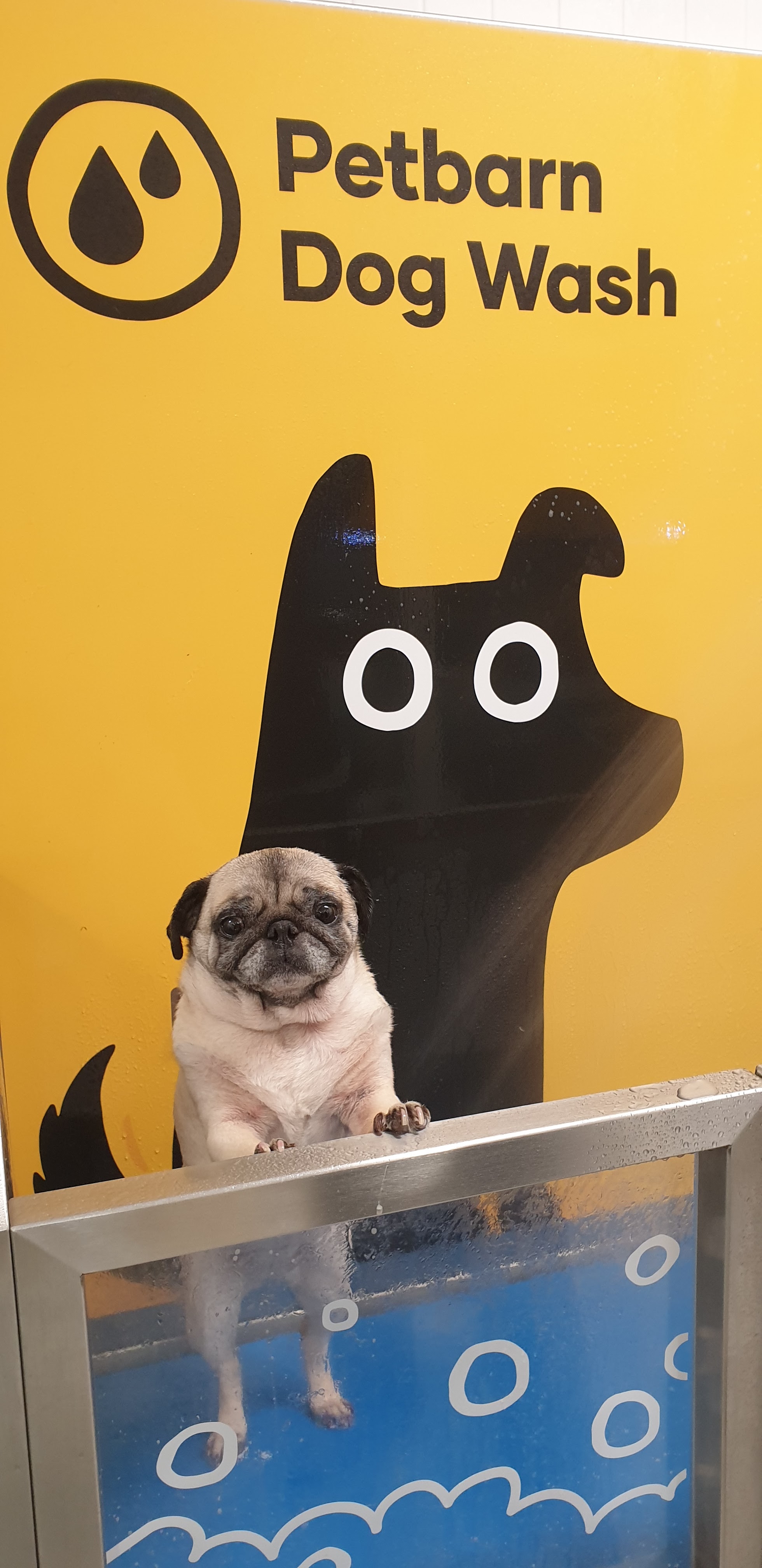 Petbarn Gungahlin