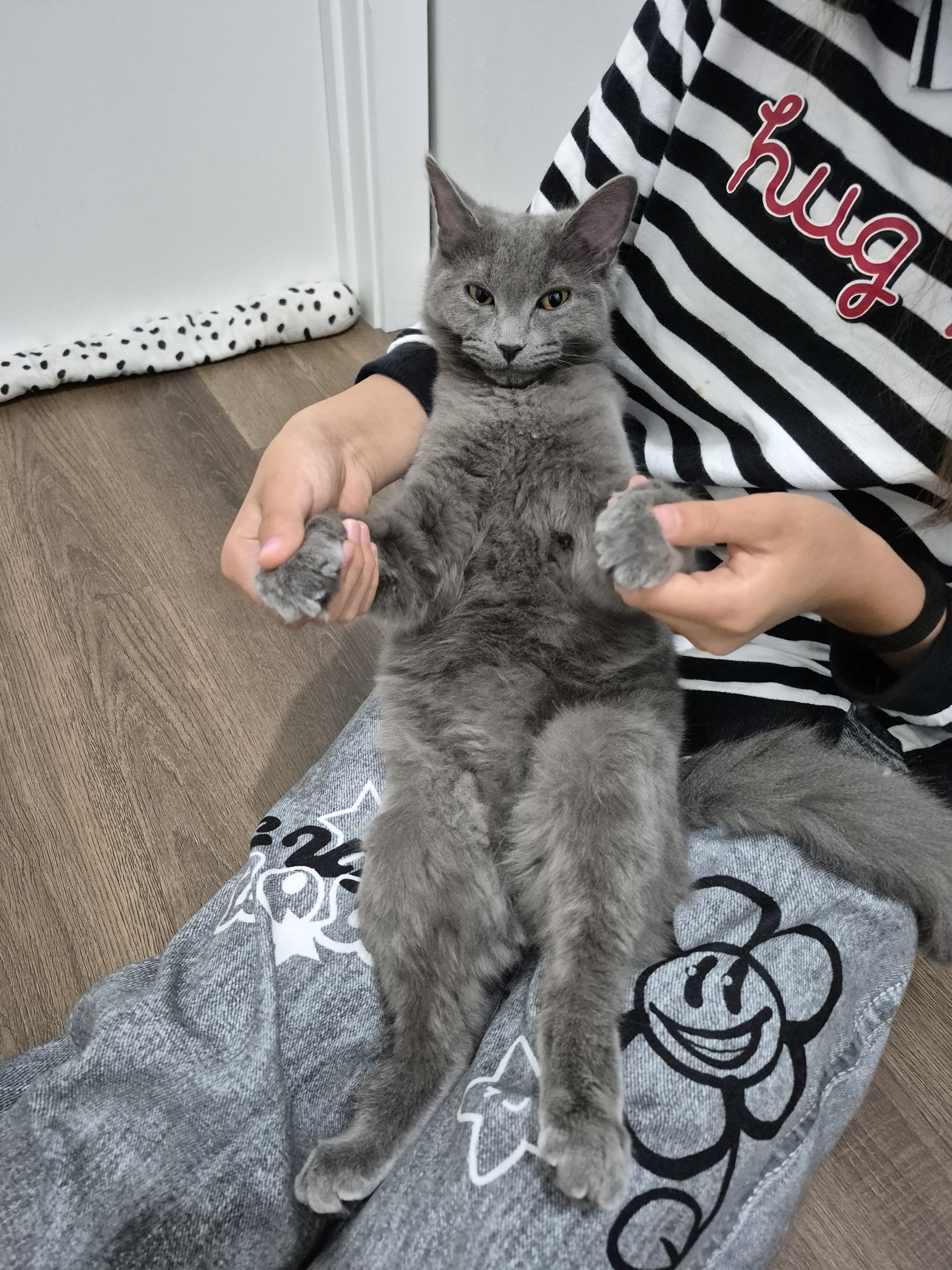 Petbarn Gungahlin