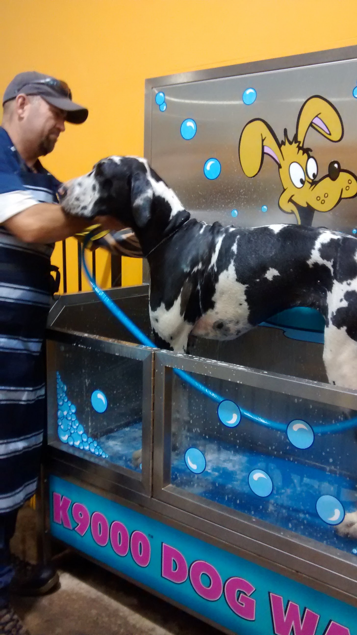 Petbarn Goulburn