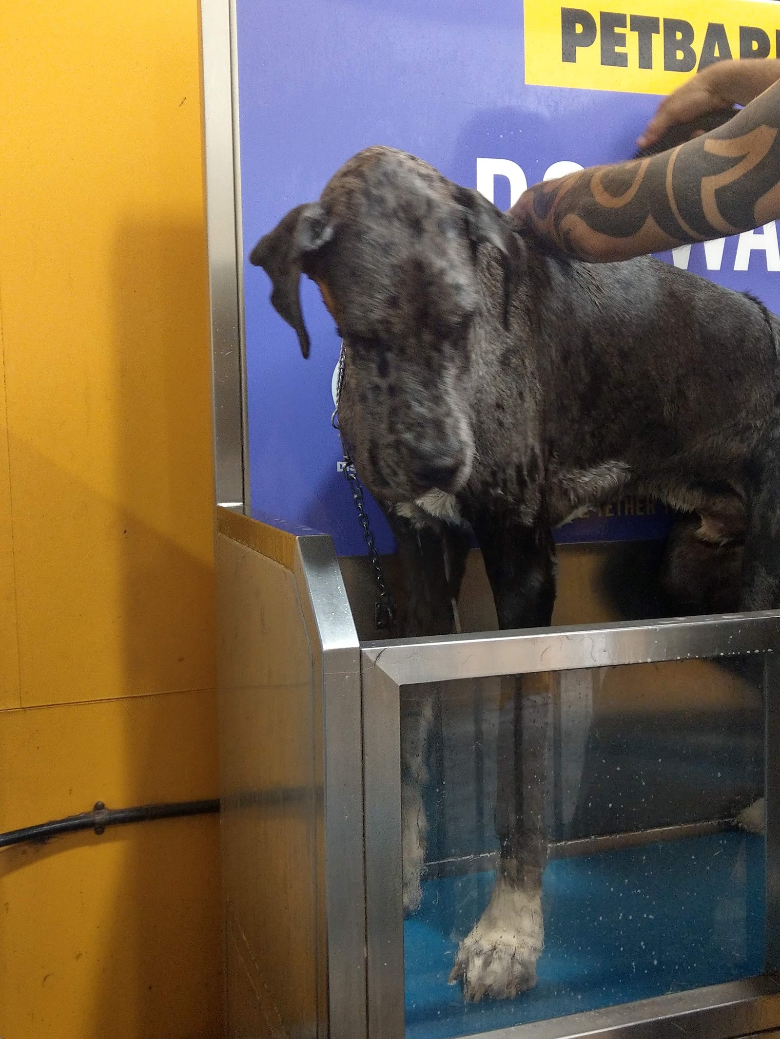 Petbarn Goulburn