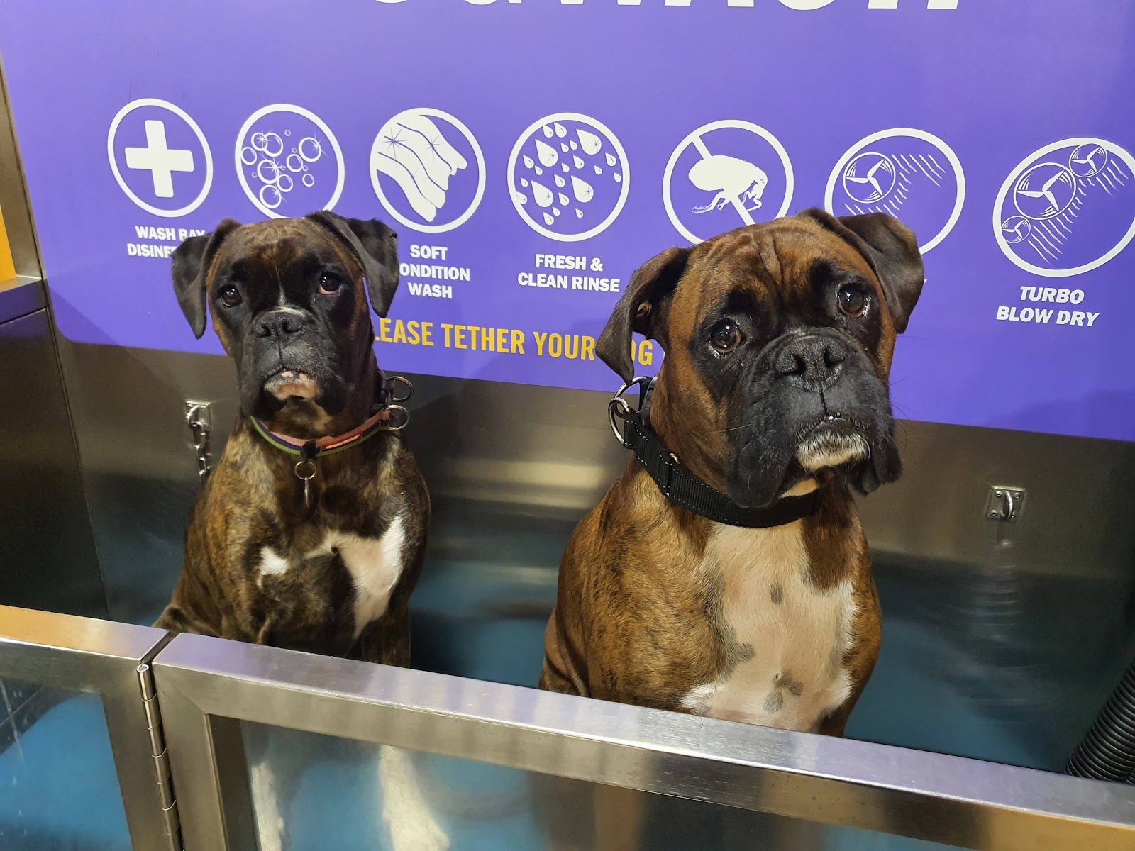 Petbarn Goulburn