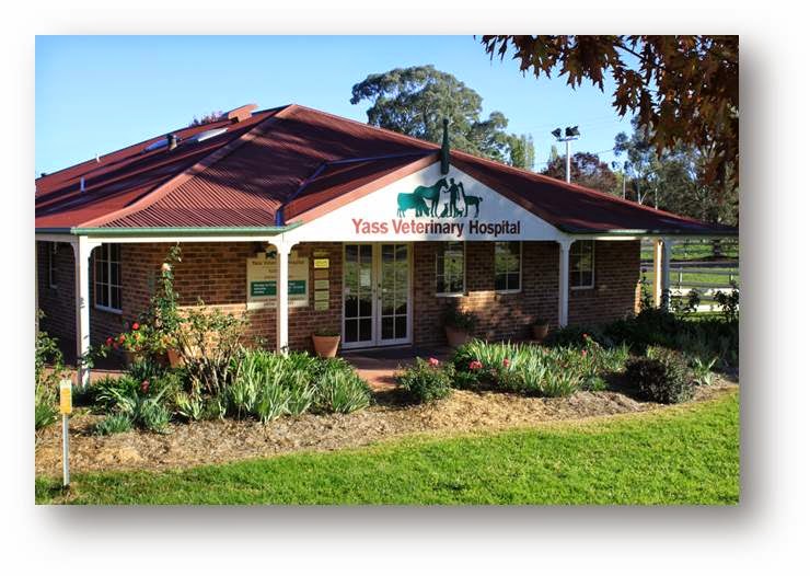 Yass Veterinary Hospital