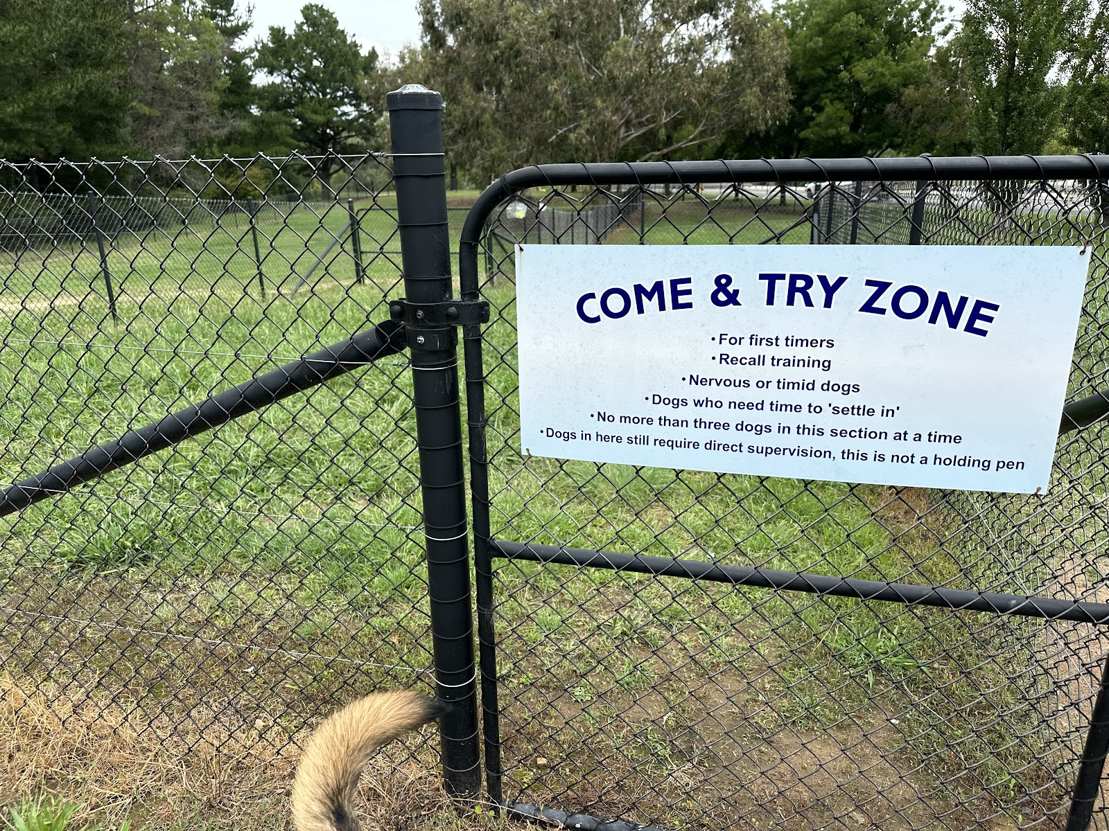 Yass Fenced Dog Park — Pet Groomers