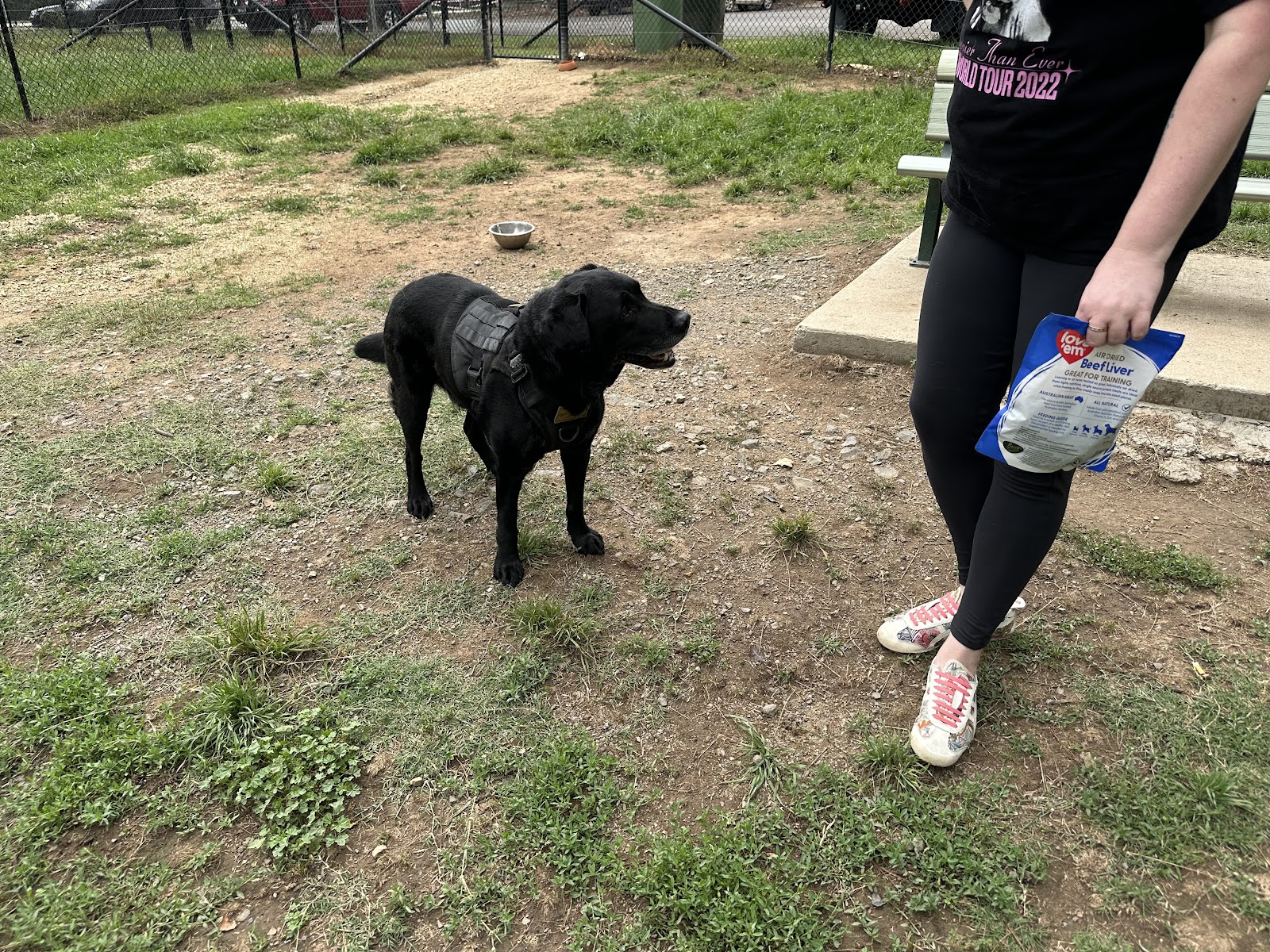 Yass Fenced Dog Park