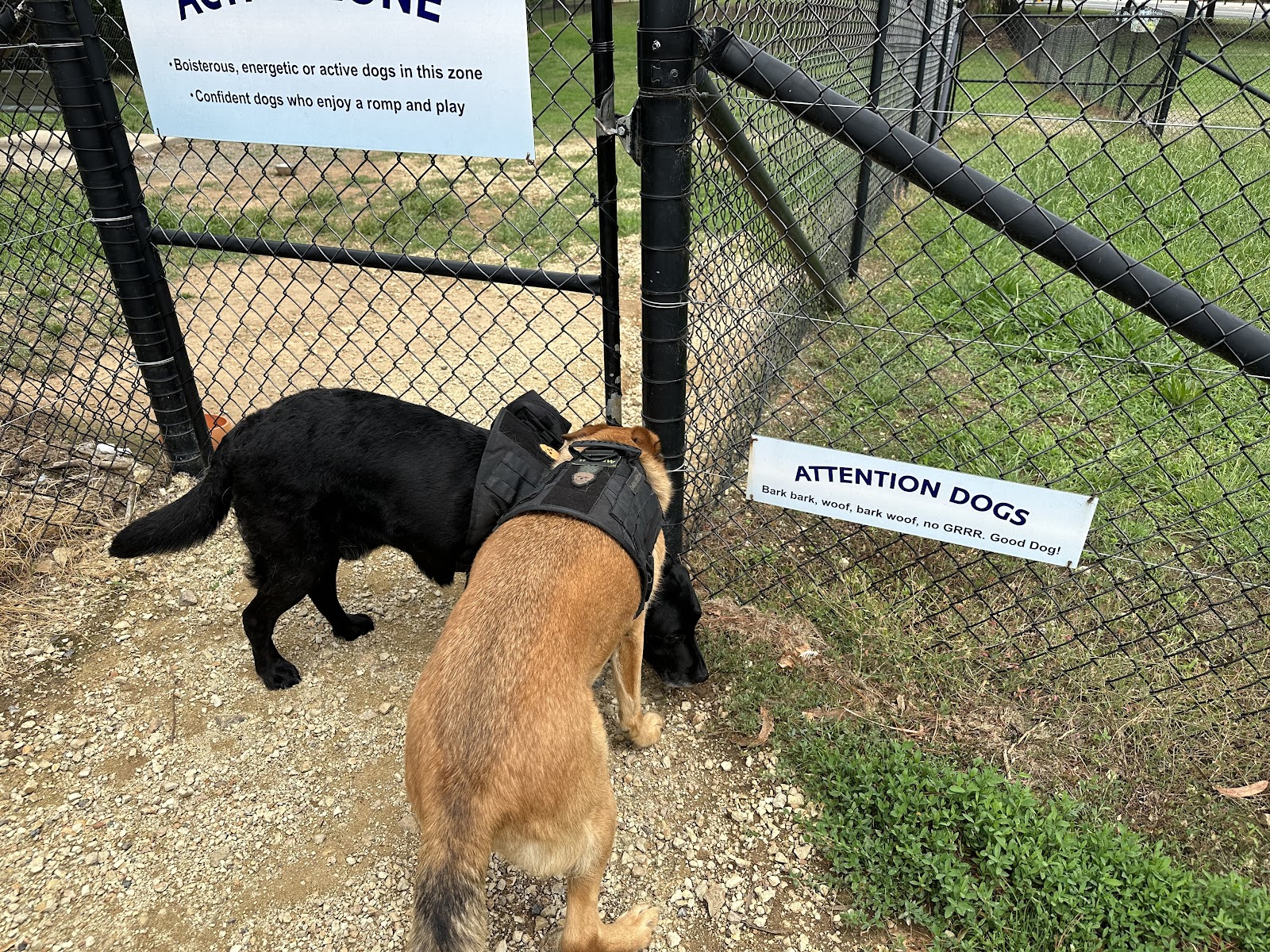 Yass Fenced Dog Park