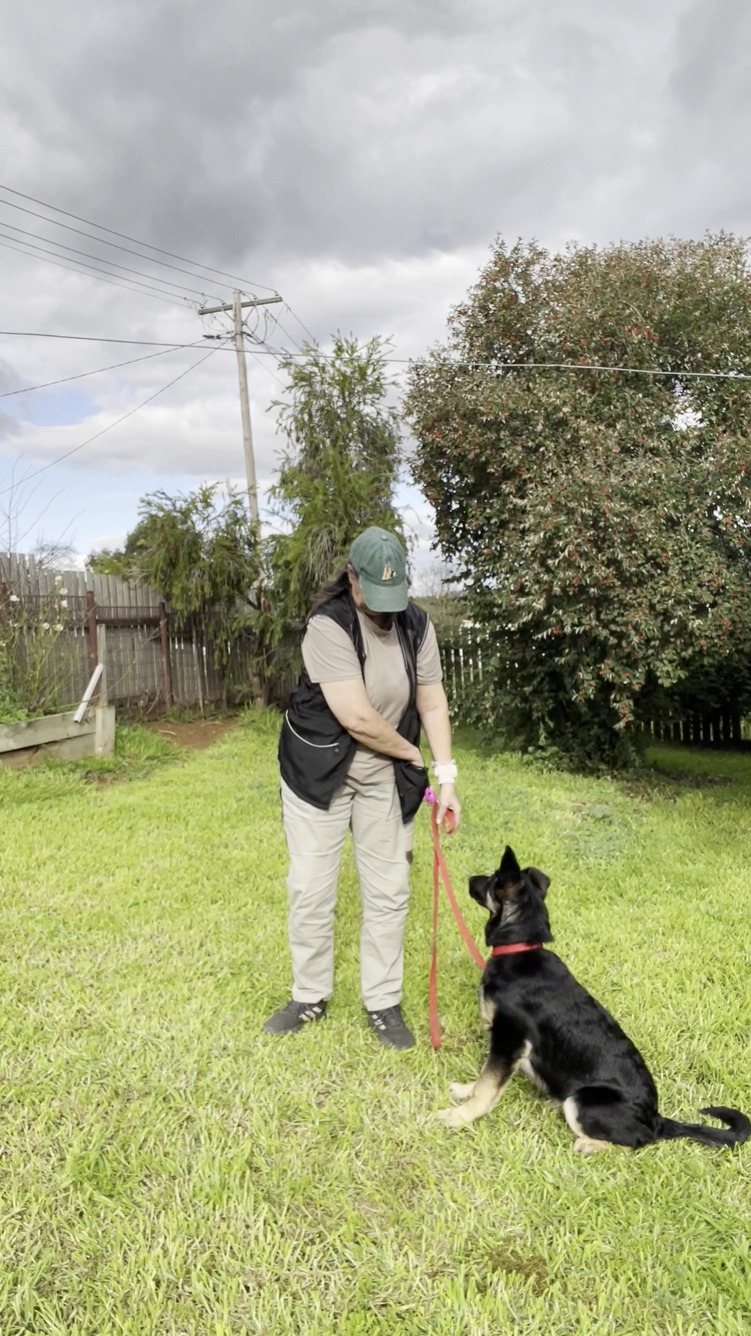 Leadership Dog Training