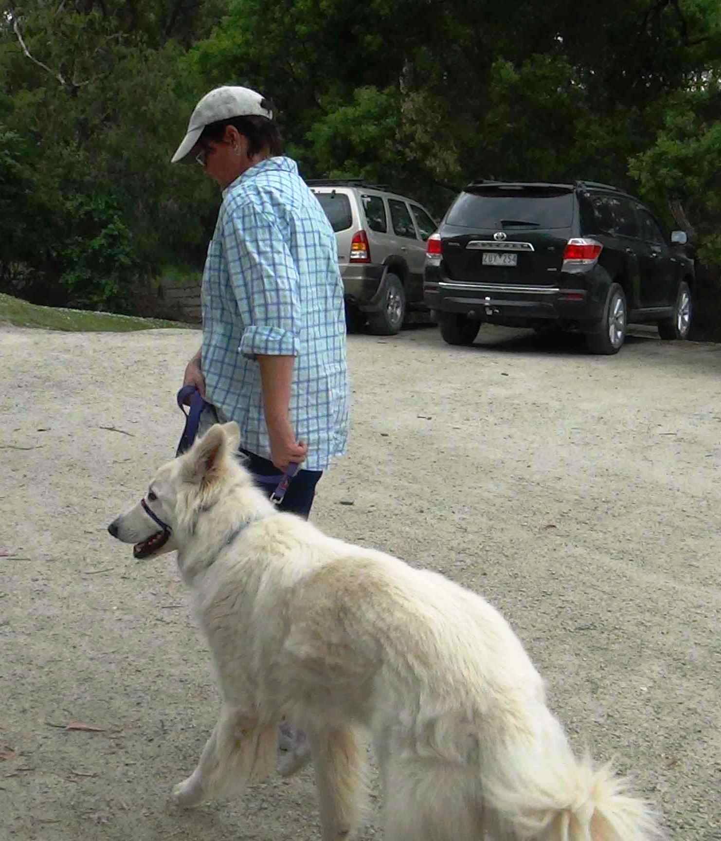 Leadership Dog Training