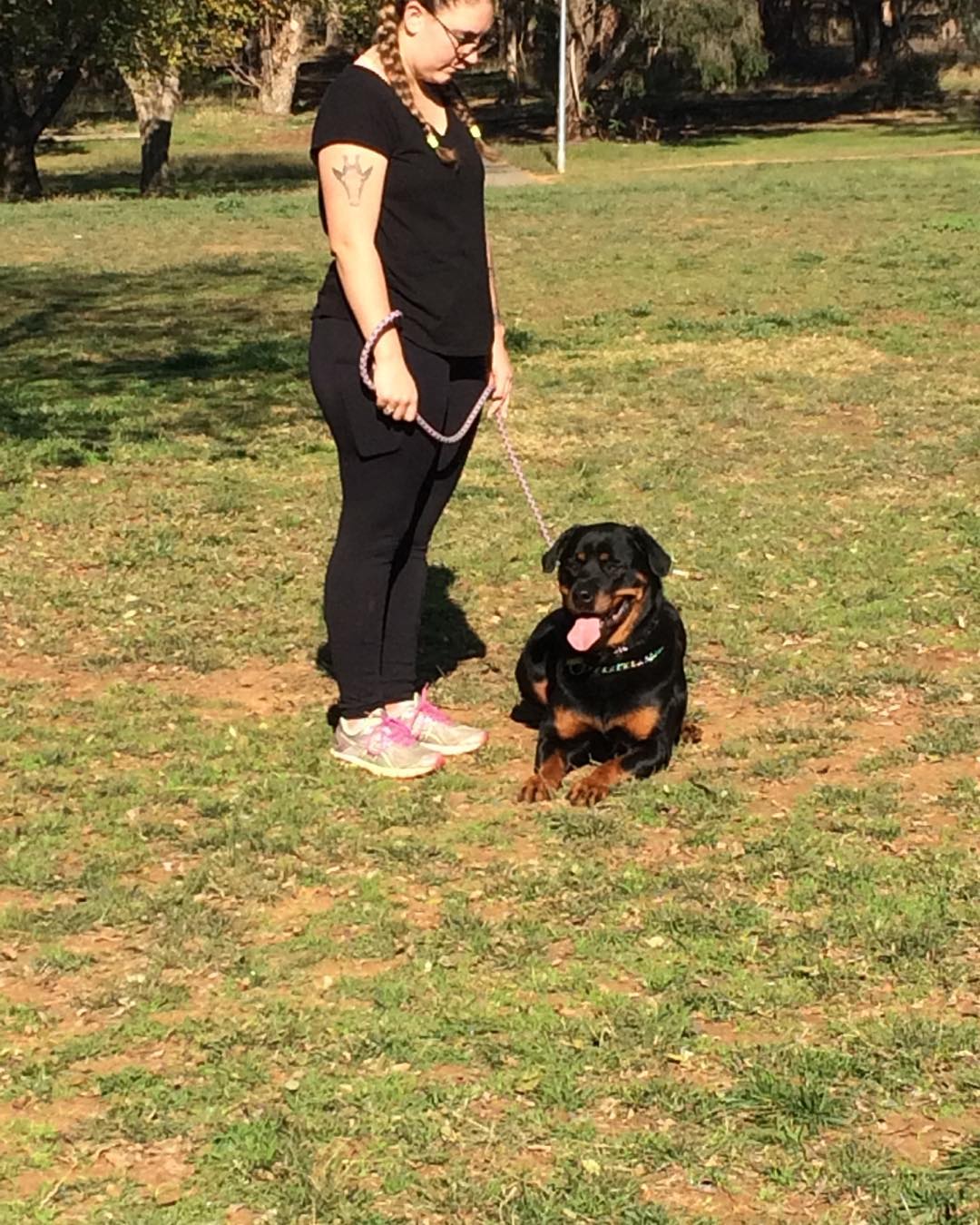 Leadership Dog Training